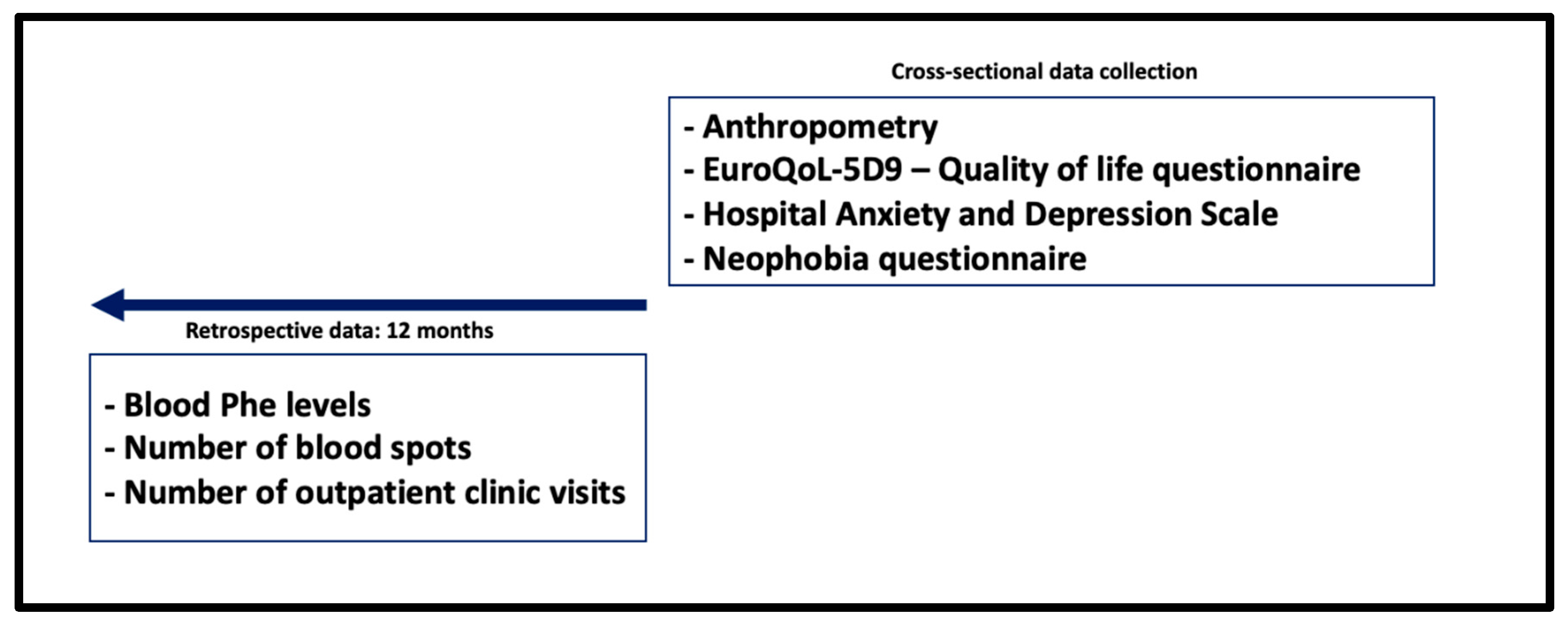 Nutrients 17 03409 g001
