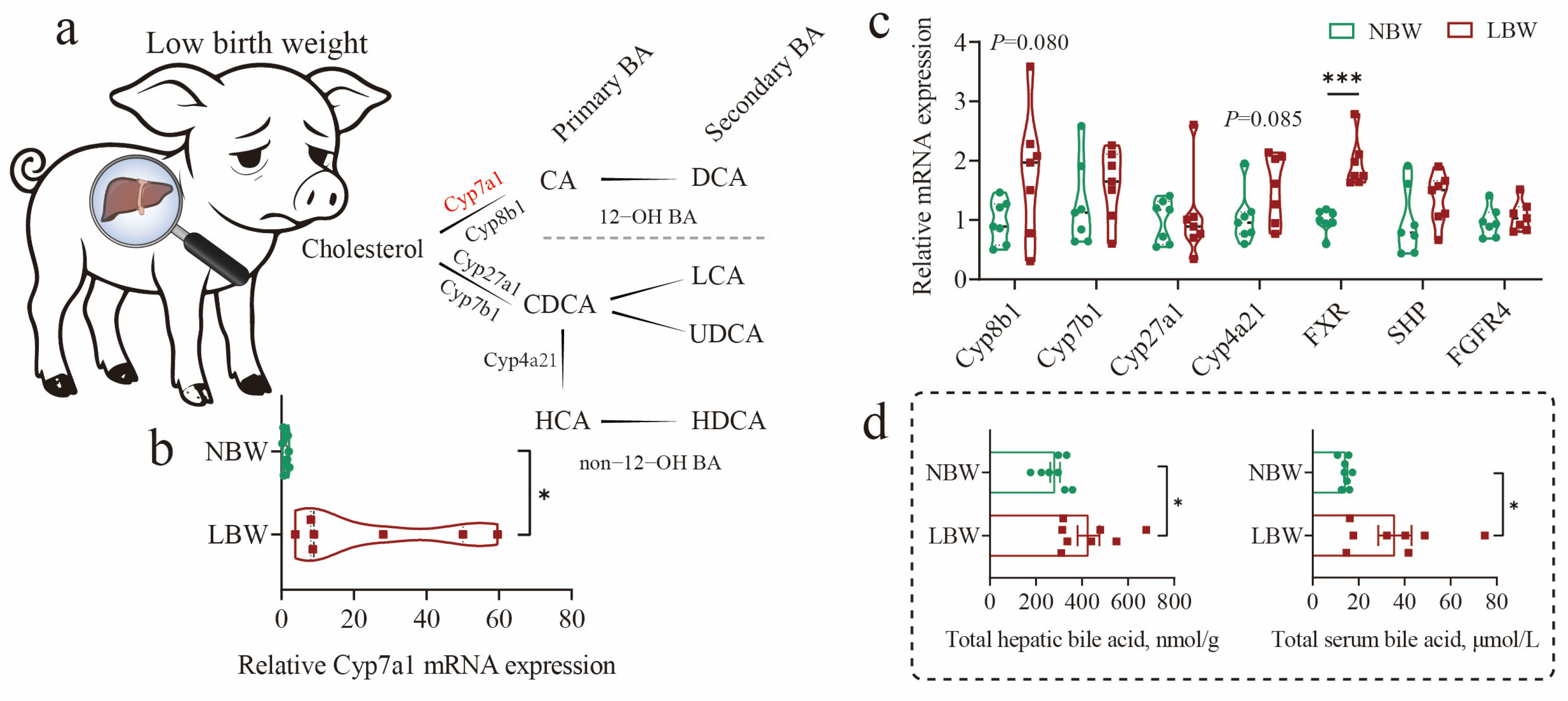 Nutrients 17 03415 g001a