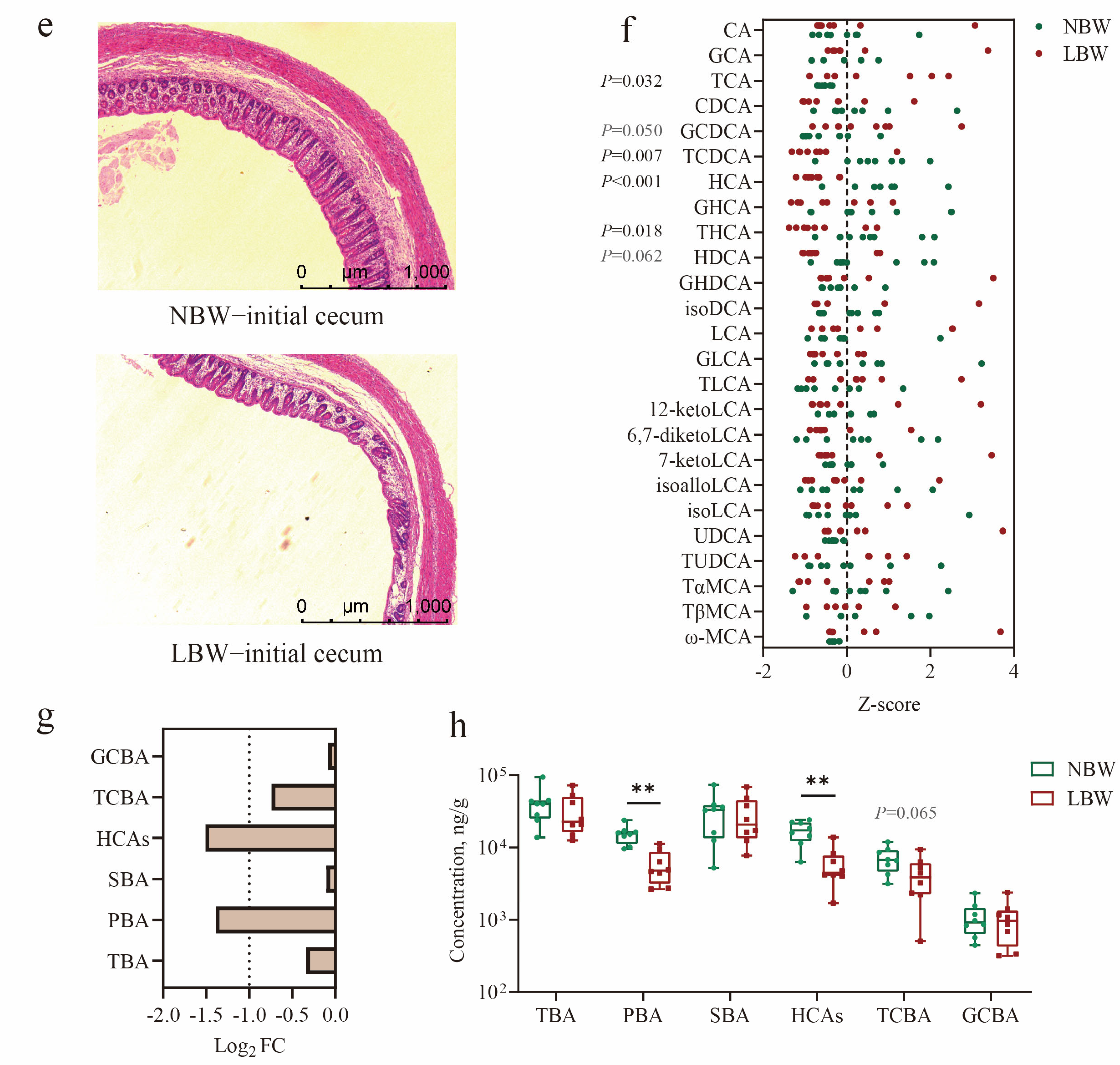 Nutrients 17 03415 g001b