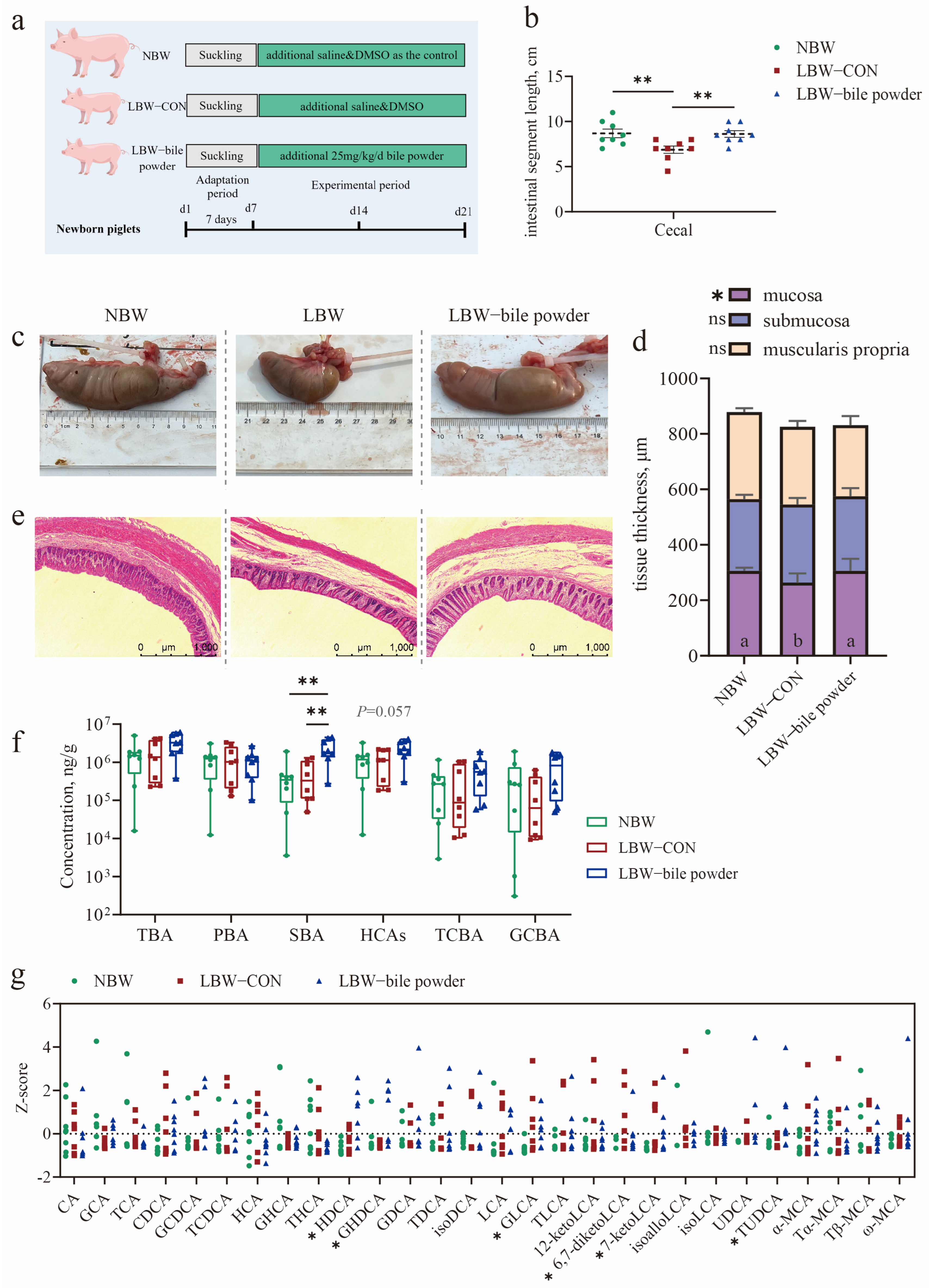 Nutrients 17 03415 g002