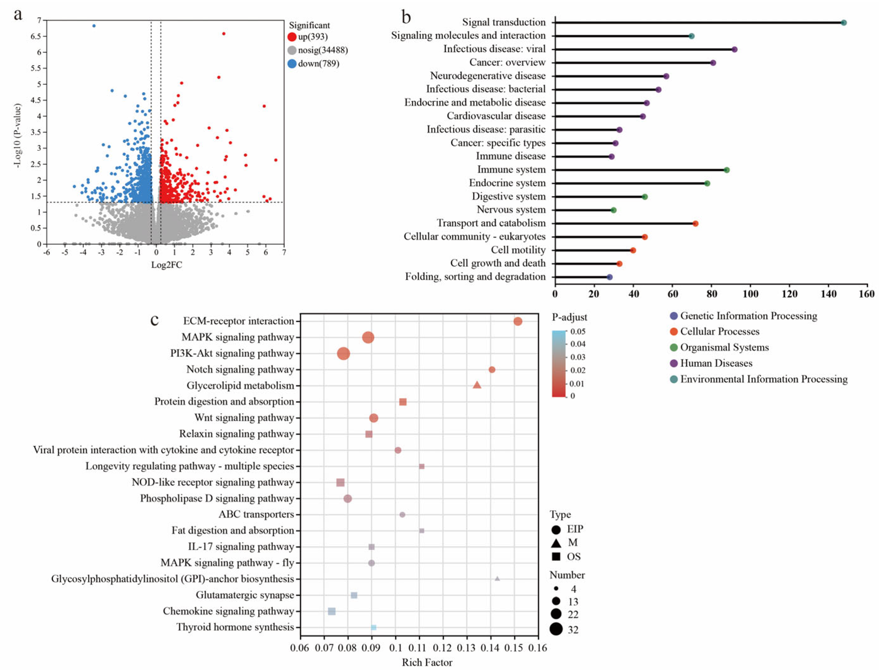 Nutrients 17 03415 g004