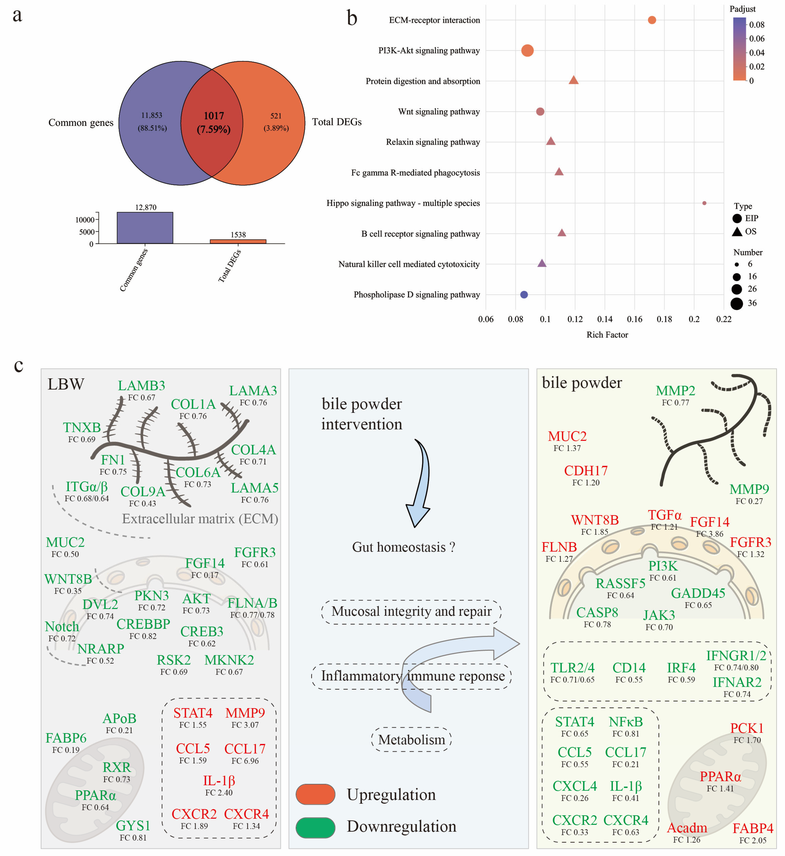 Nutrients 17 03415 g006