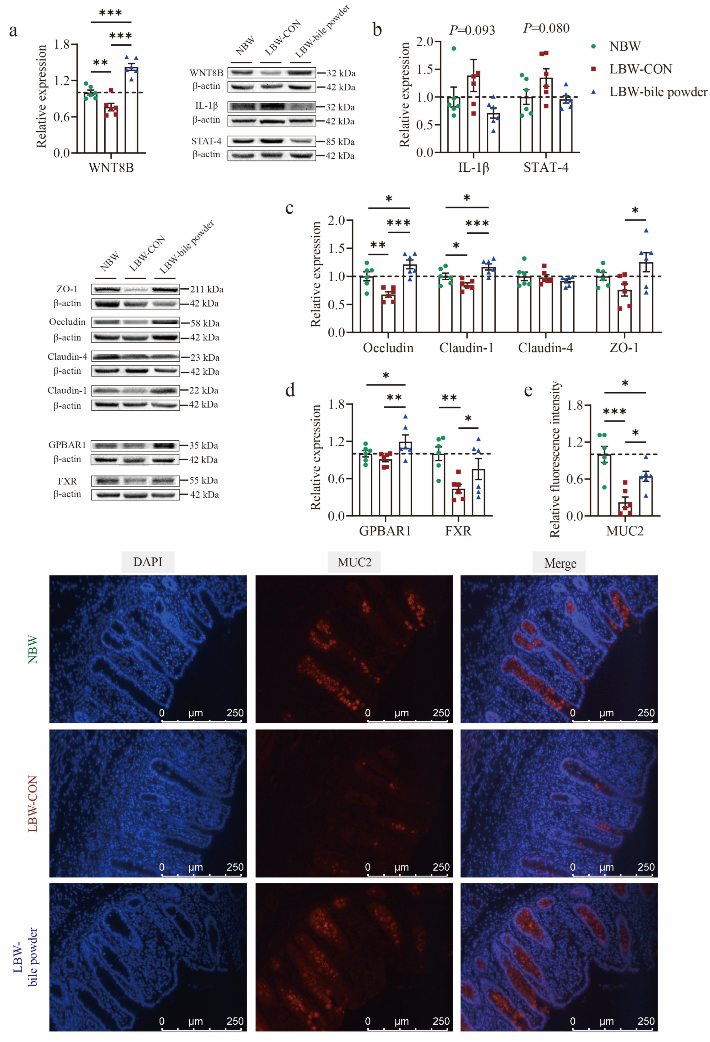 Nutrients 17 03415 g007