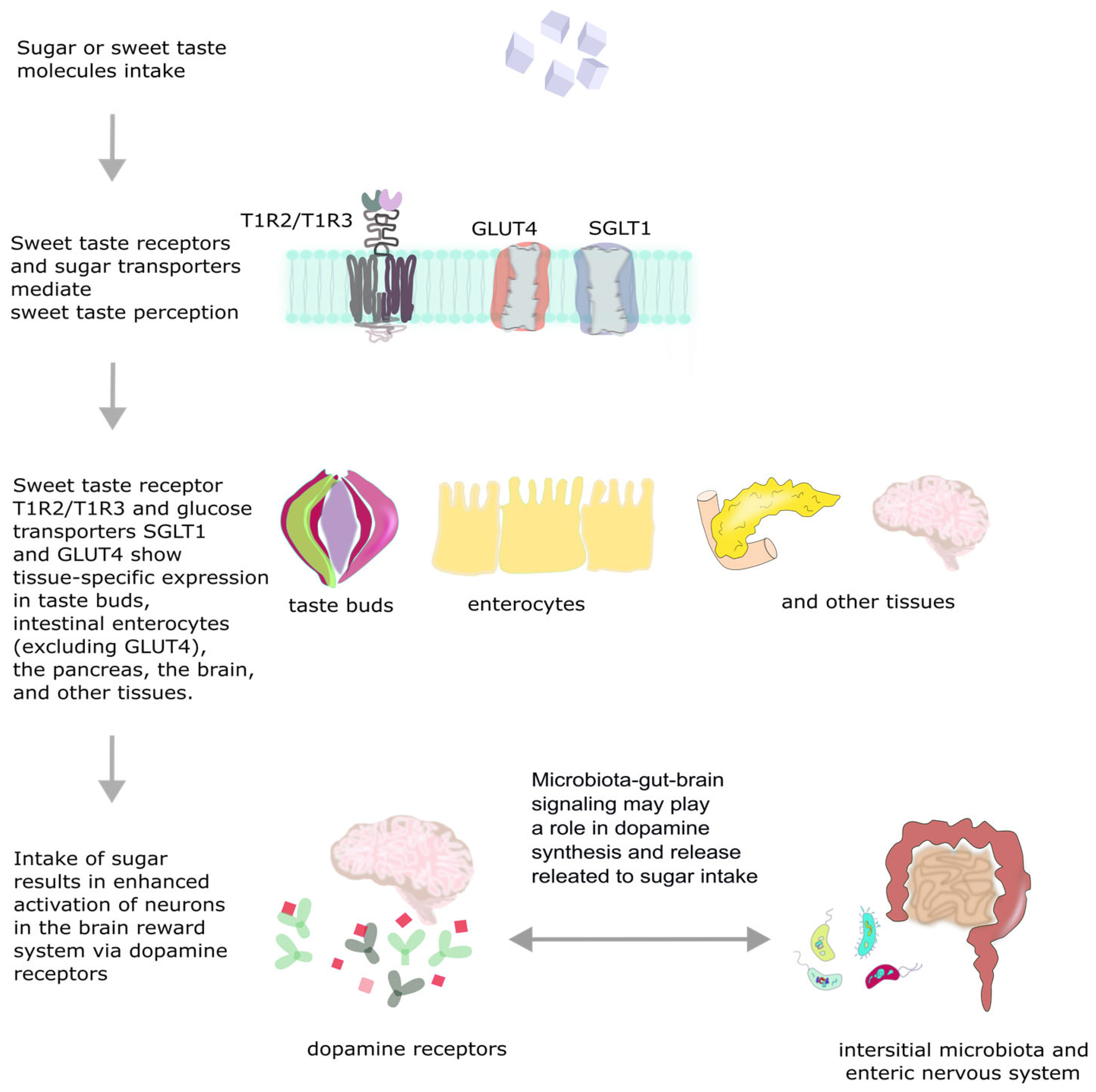 Nutrients 17 03417 g001