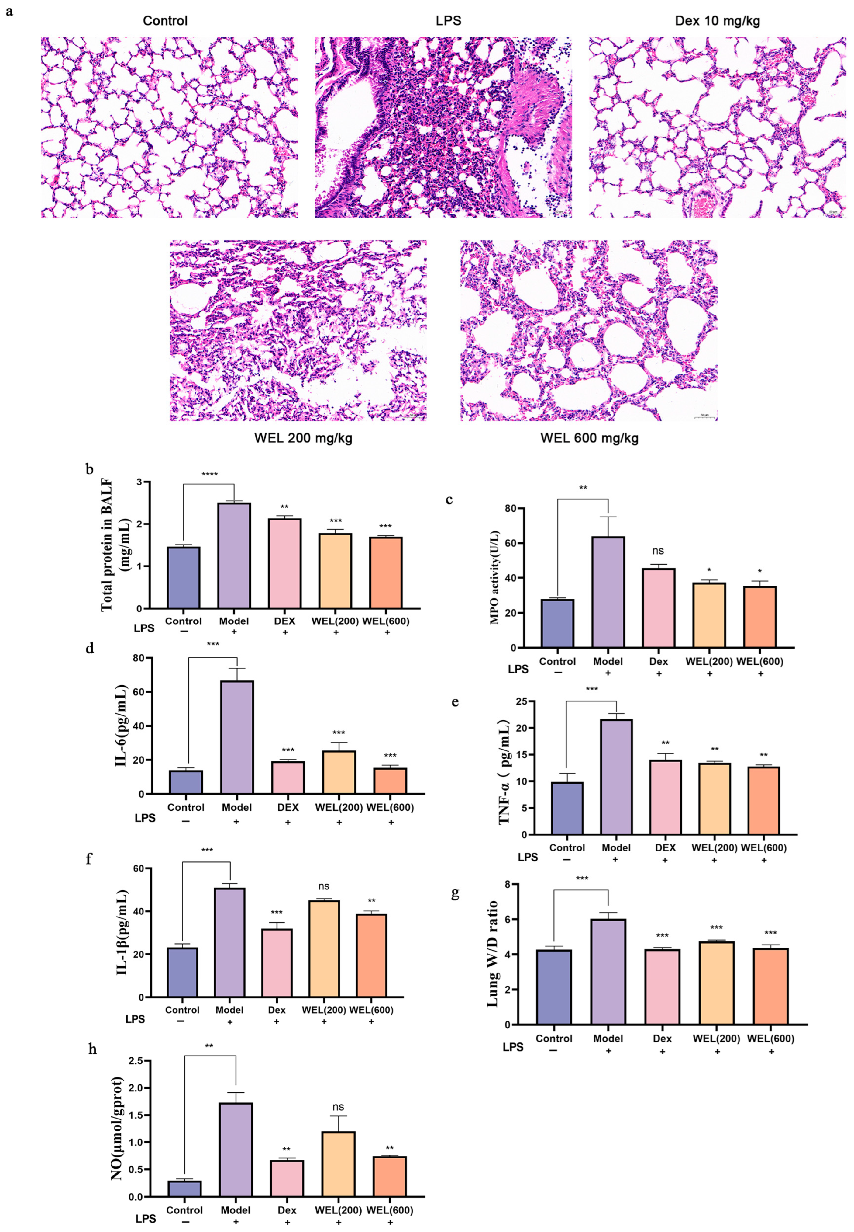 Nutrients 17 03425 g003