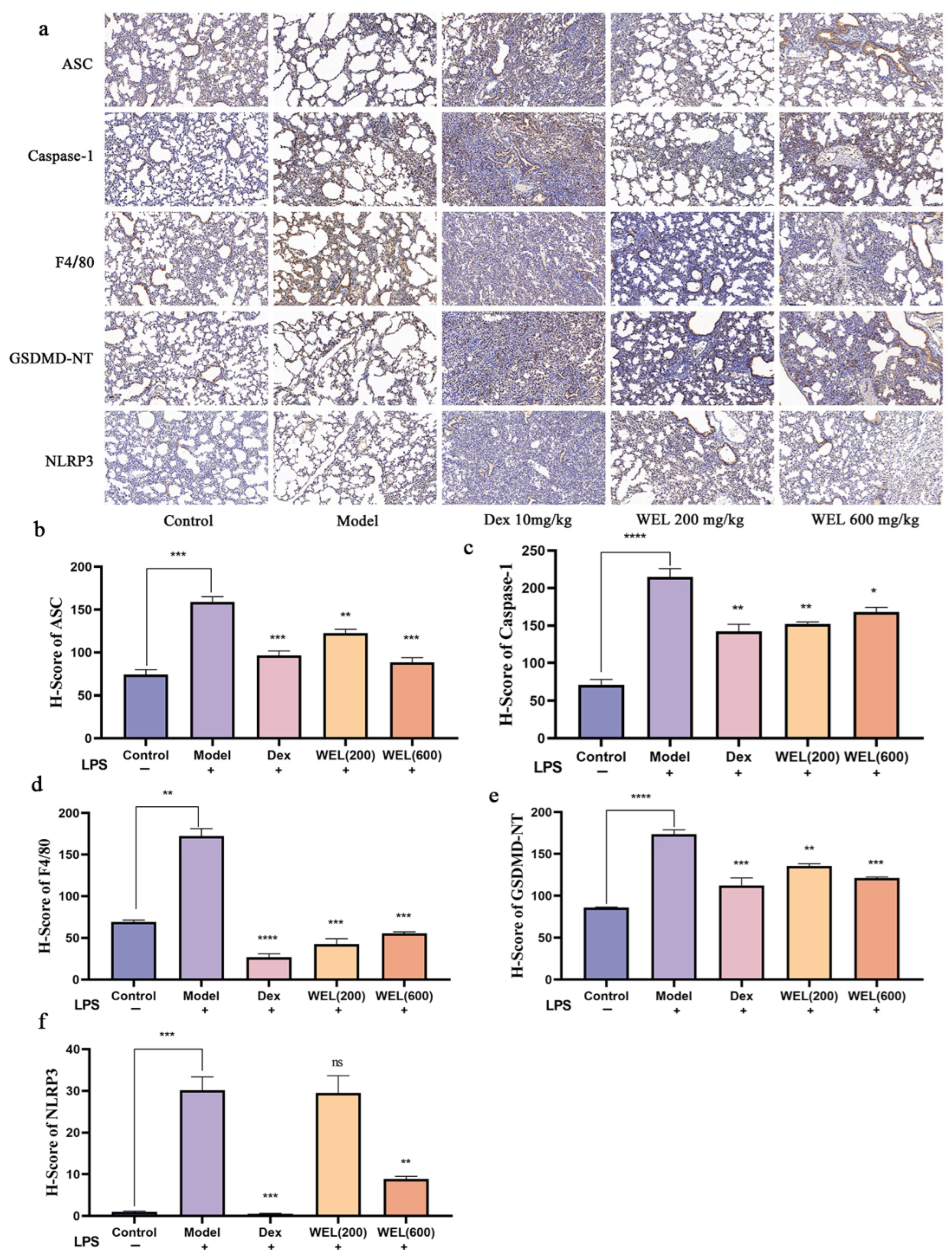Nutrients 17 03425 g005