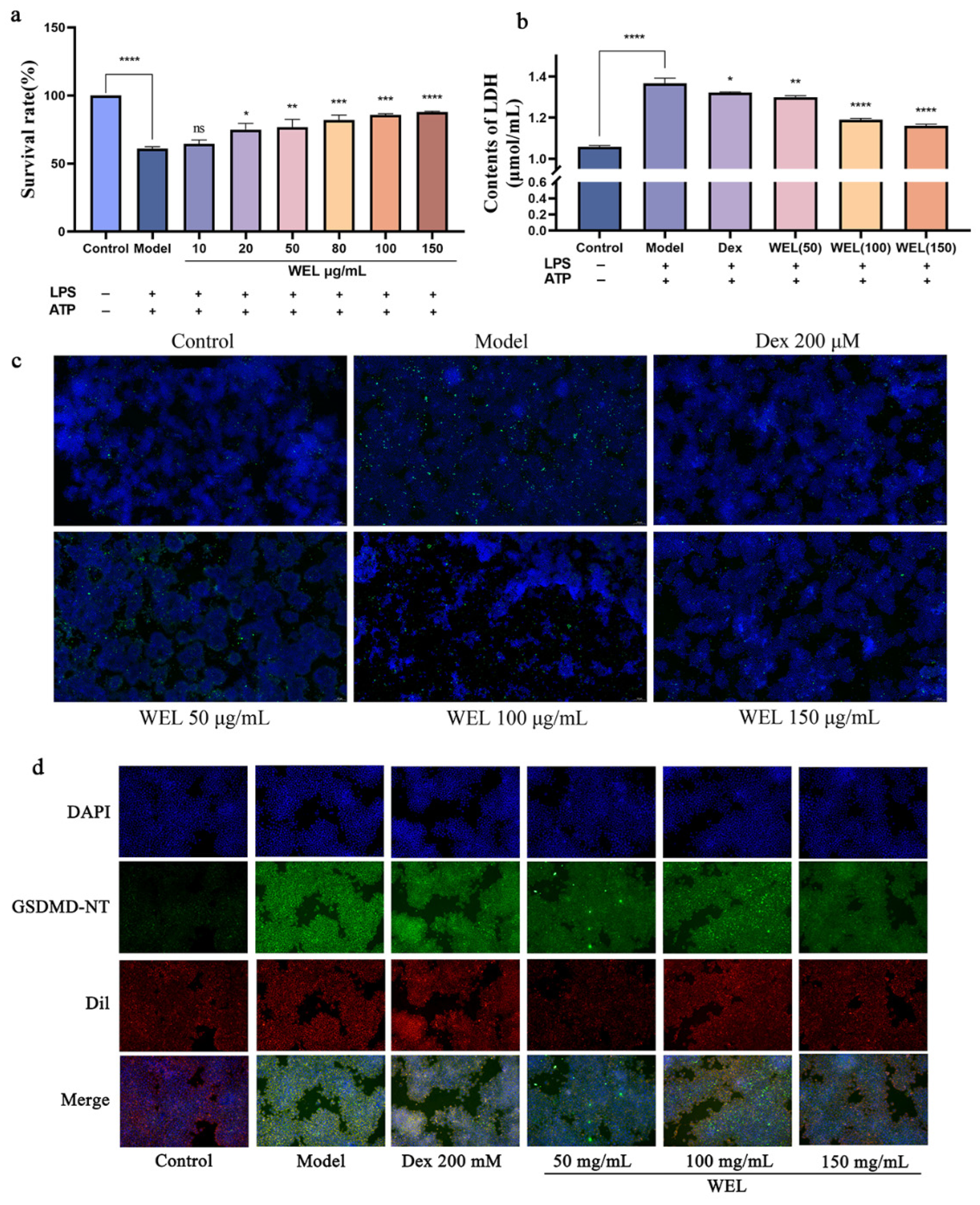 Nutrients 17 03425 g008