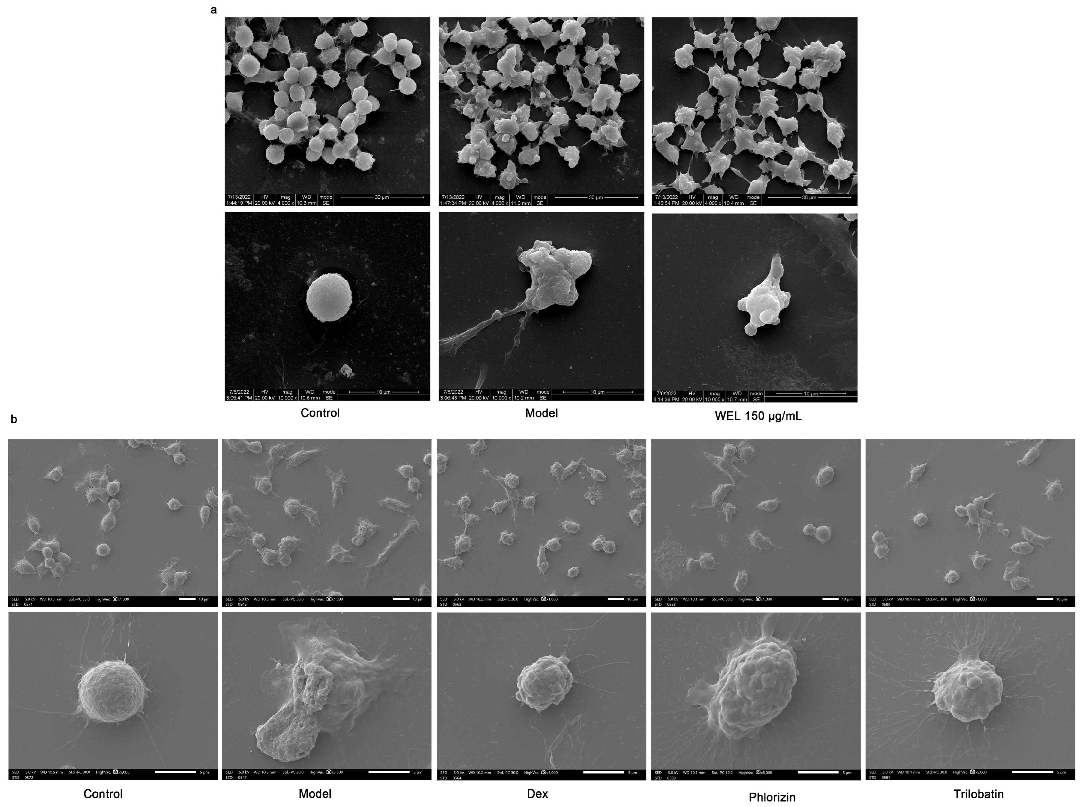 Nutrients 17 03425 g009