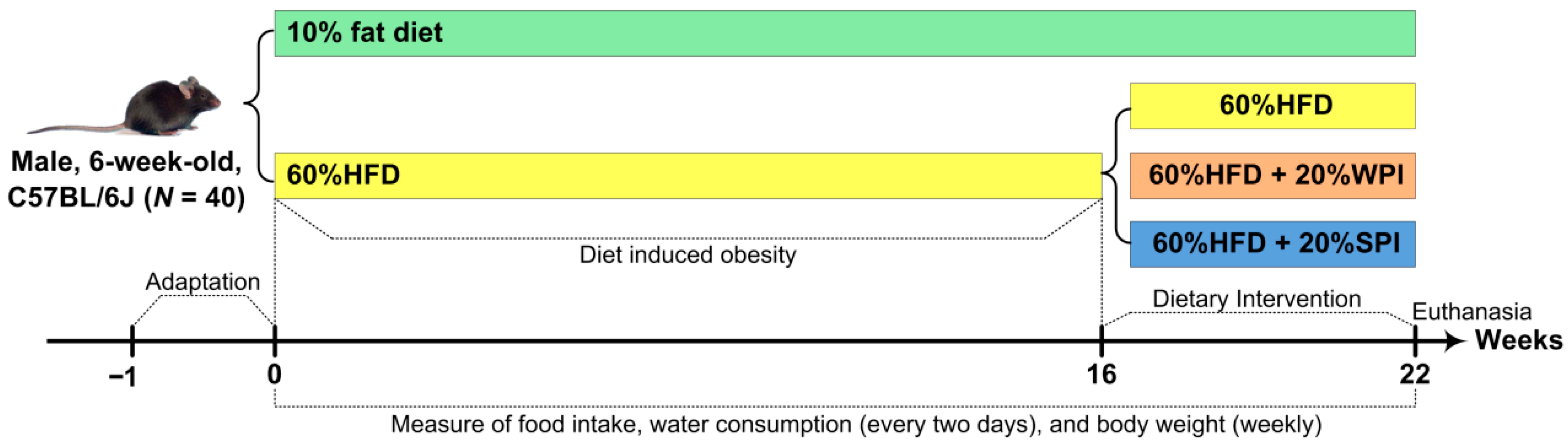 Nutrients 17 03427 g001