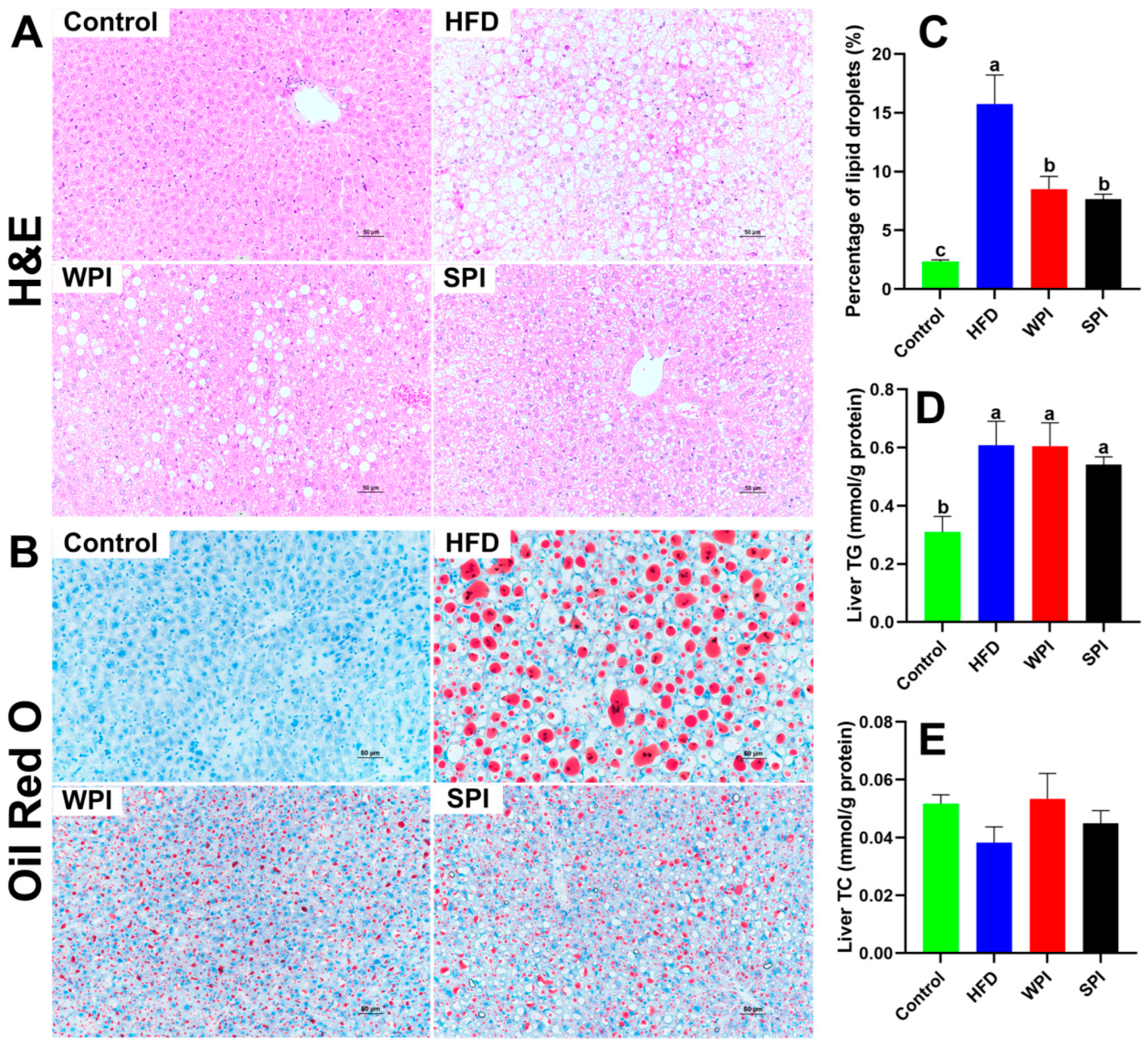 Nutrients 17 03427 g009
