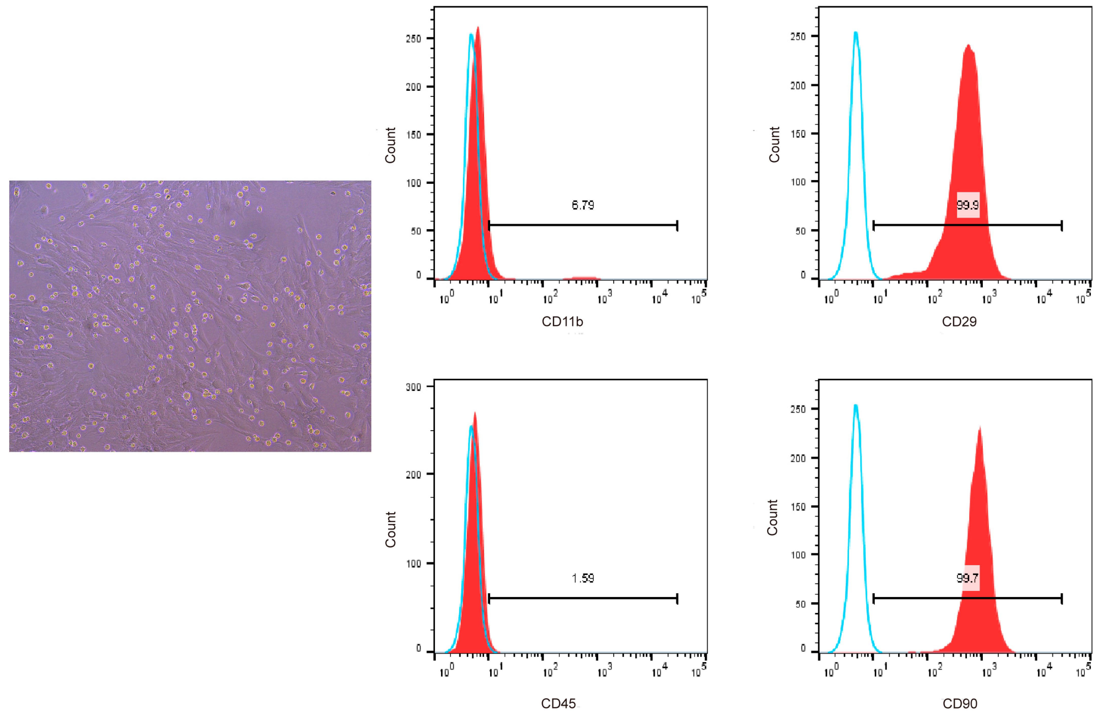 Nutrients 17 03428 g003 Nutrients 17 03428 g003