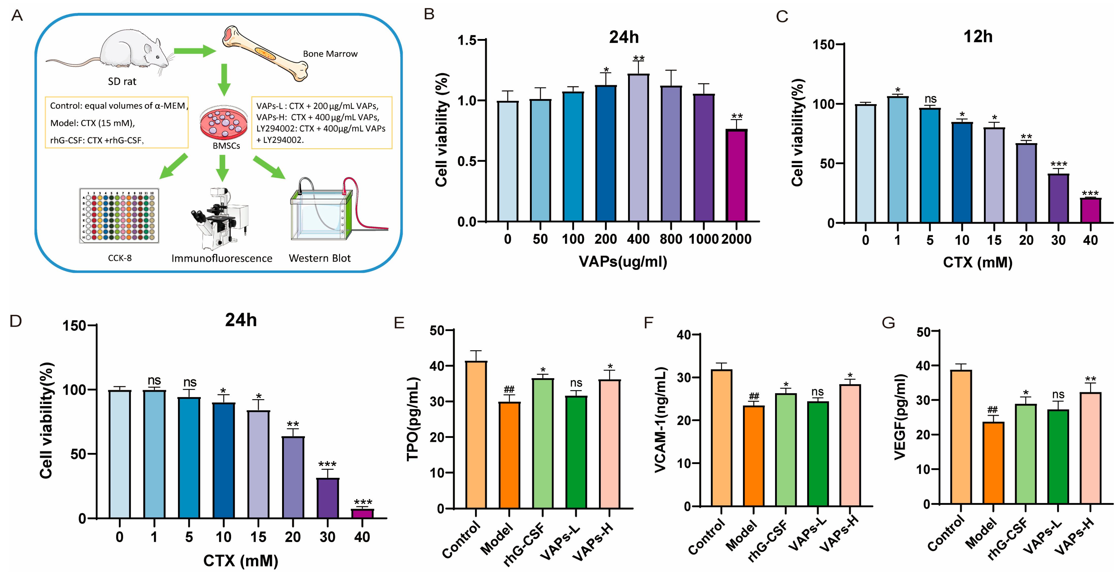 Nutrients 17 03428 g004 Nutrients 17 03428 g004