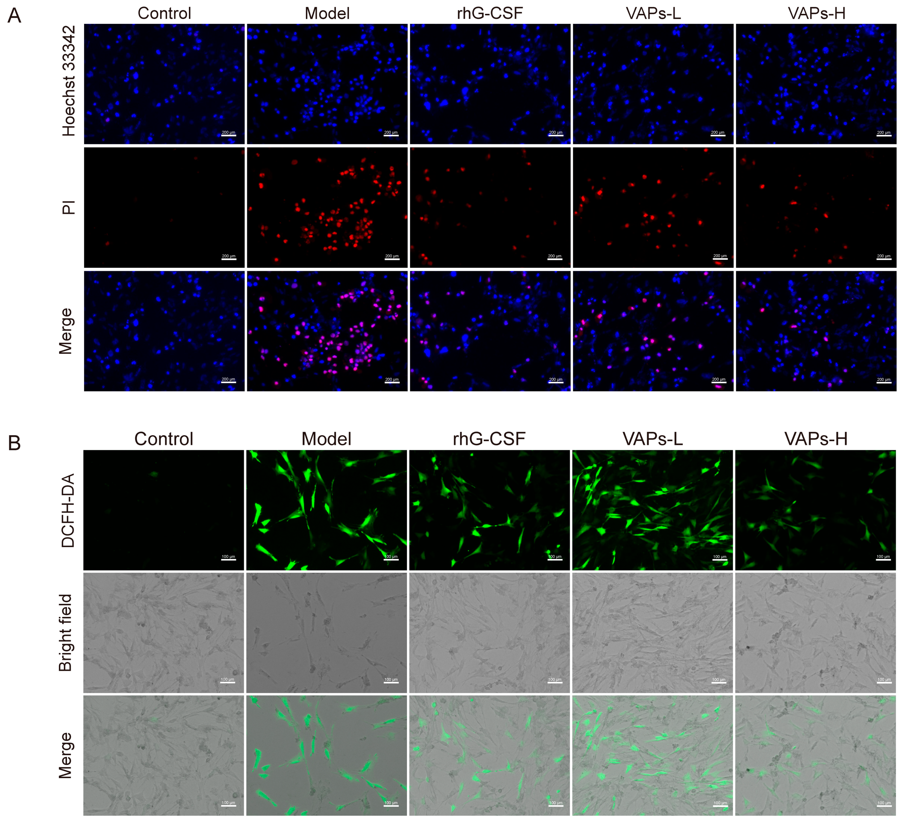 Nutrients 17 03428 g005 Nutrients 17 03428 g005