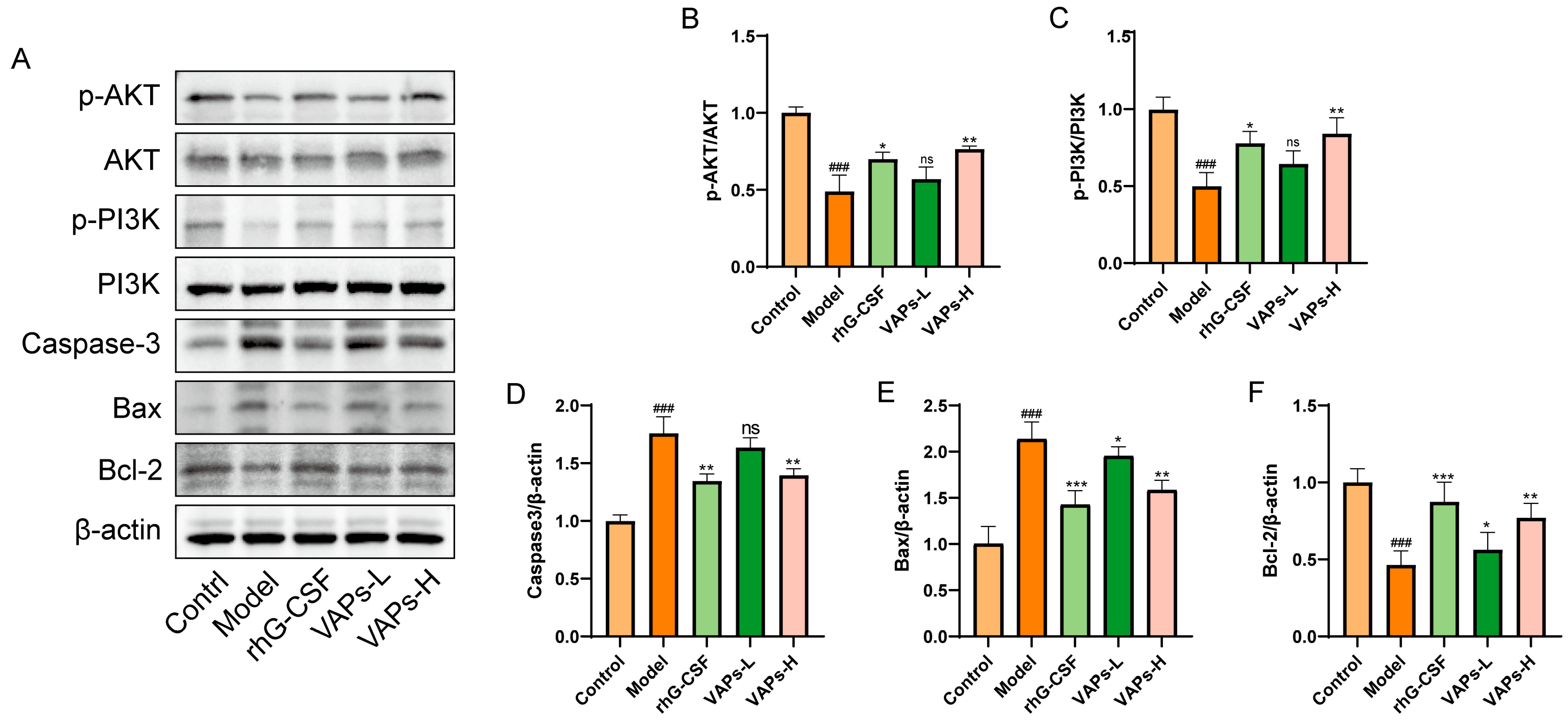 Nutrients 17 03428 g006 Nutrients 17 03428 g006