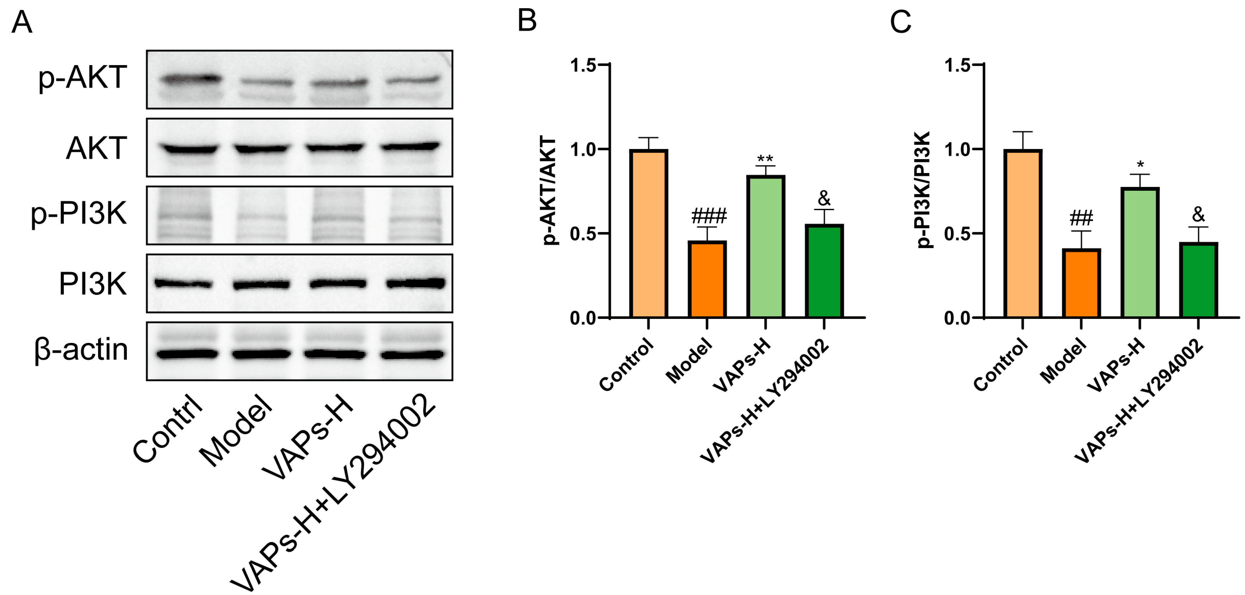 Nutrients 17 03428 g007 Nutrients 17 03428 g007