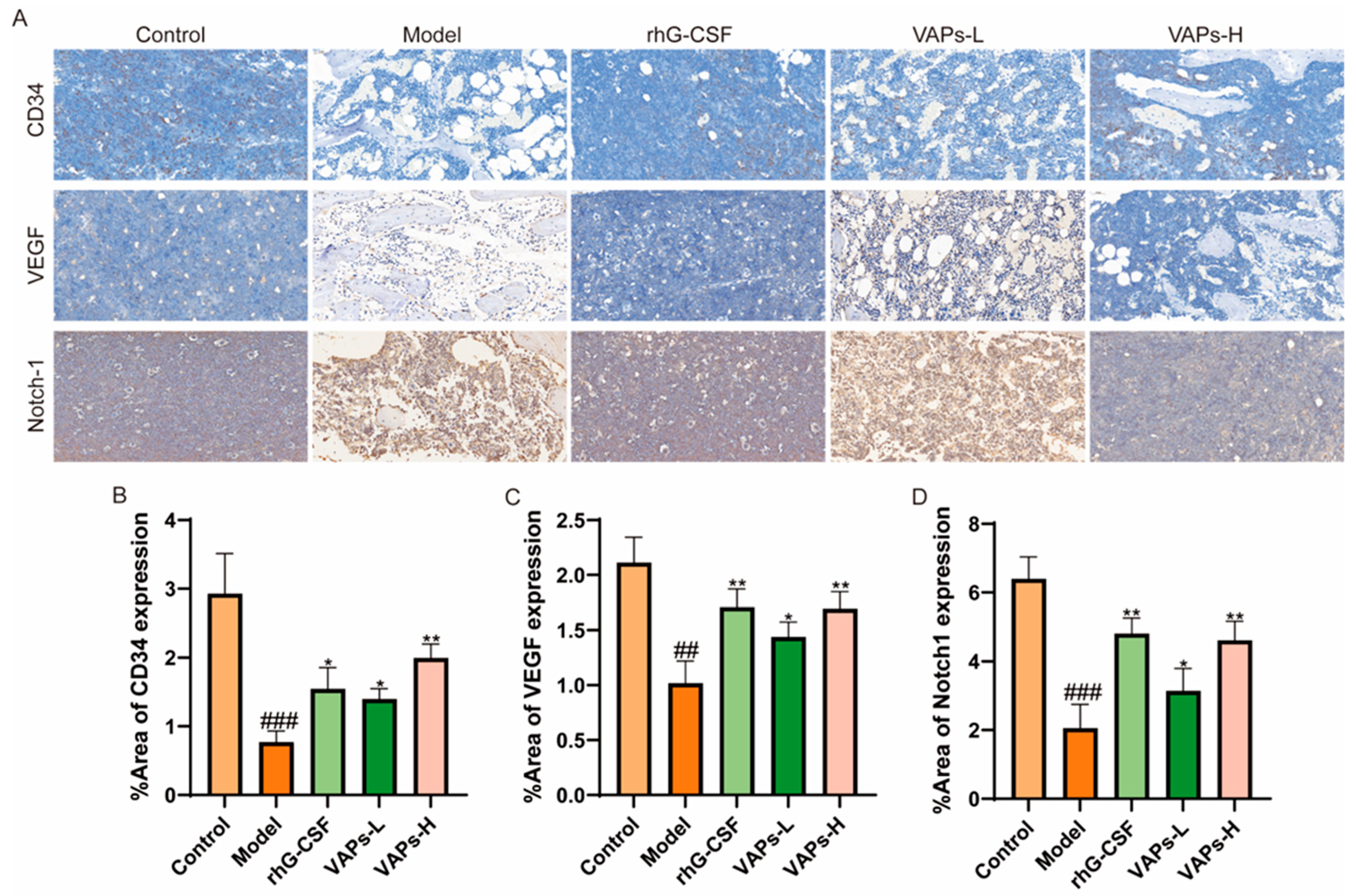 Nutrients 17 03428 g011 Nutrients 17 03428 g011