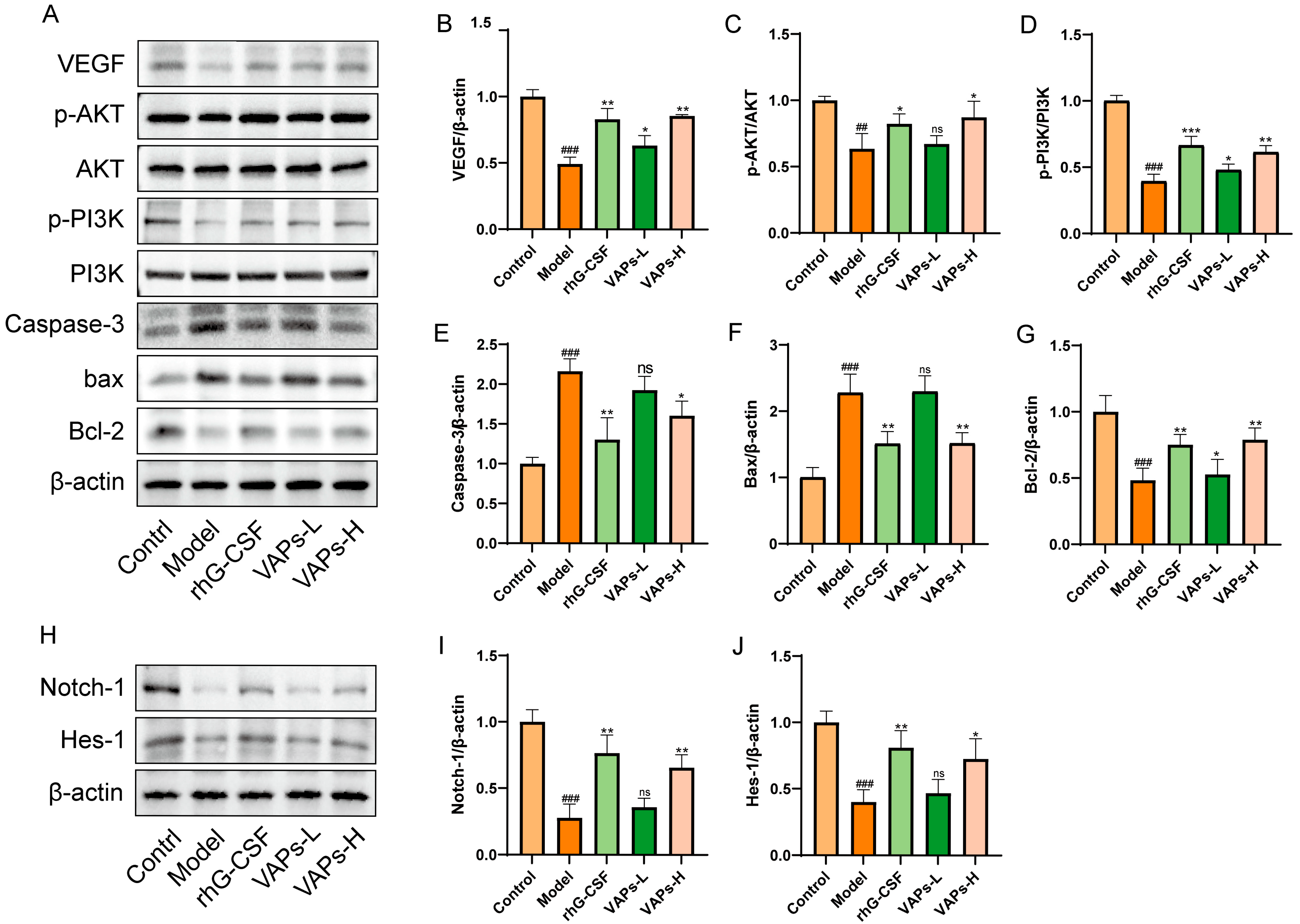 Nutrients 17 03428 g012 Nutrients 17 03428 g012
