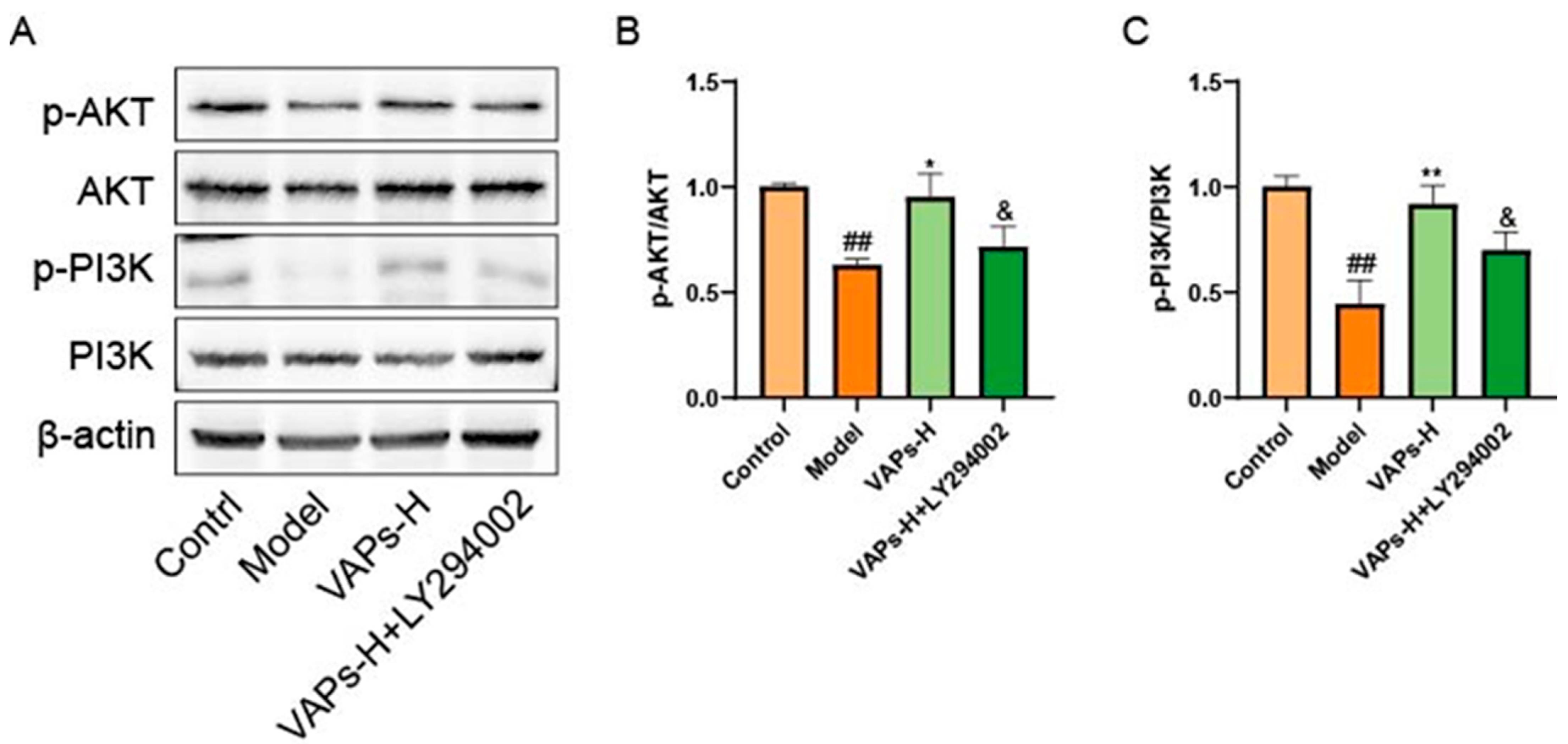 Nutrients 17 03428 g013 Nutrients 17 03428 g013