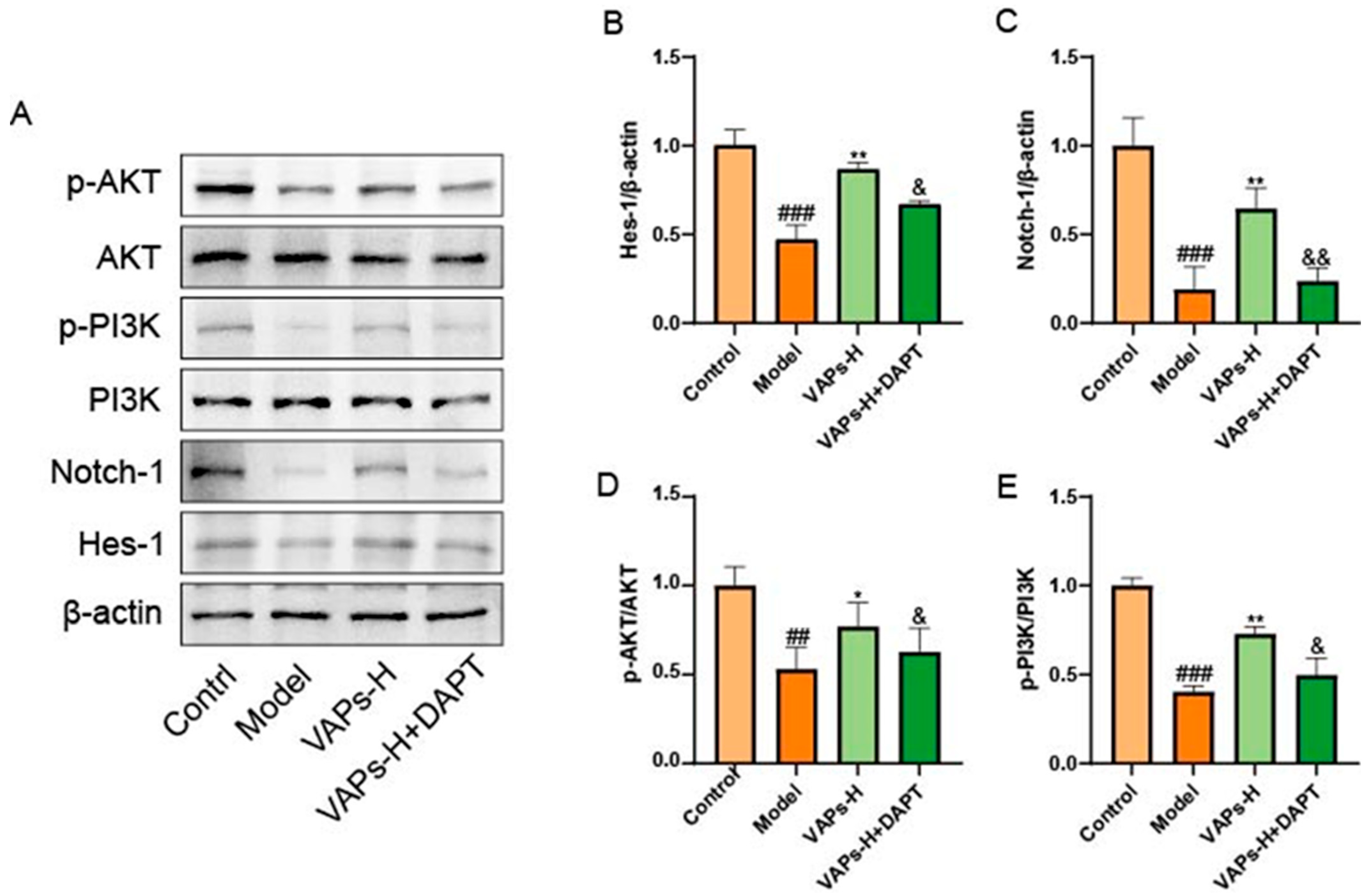 Nutrients 17 03428 g014 Nutrients 17 03428 g014