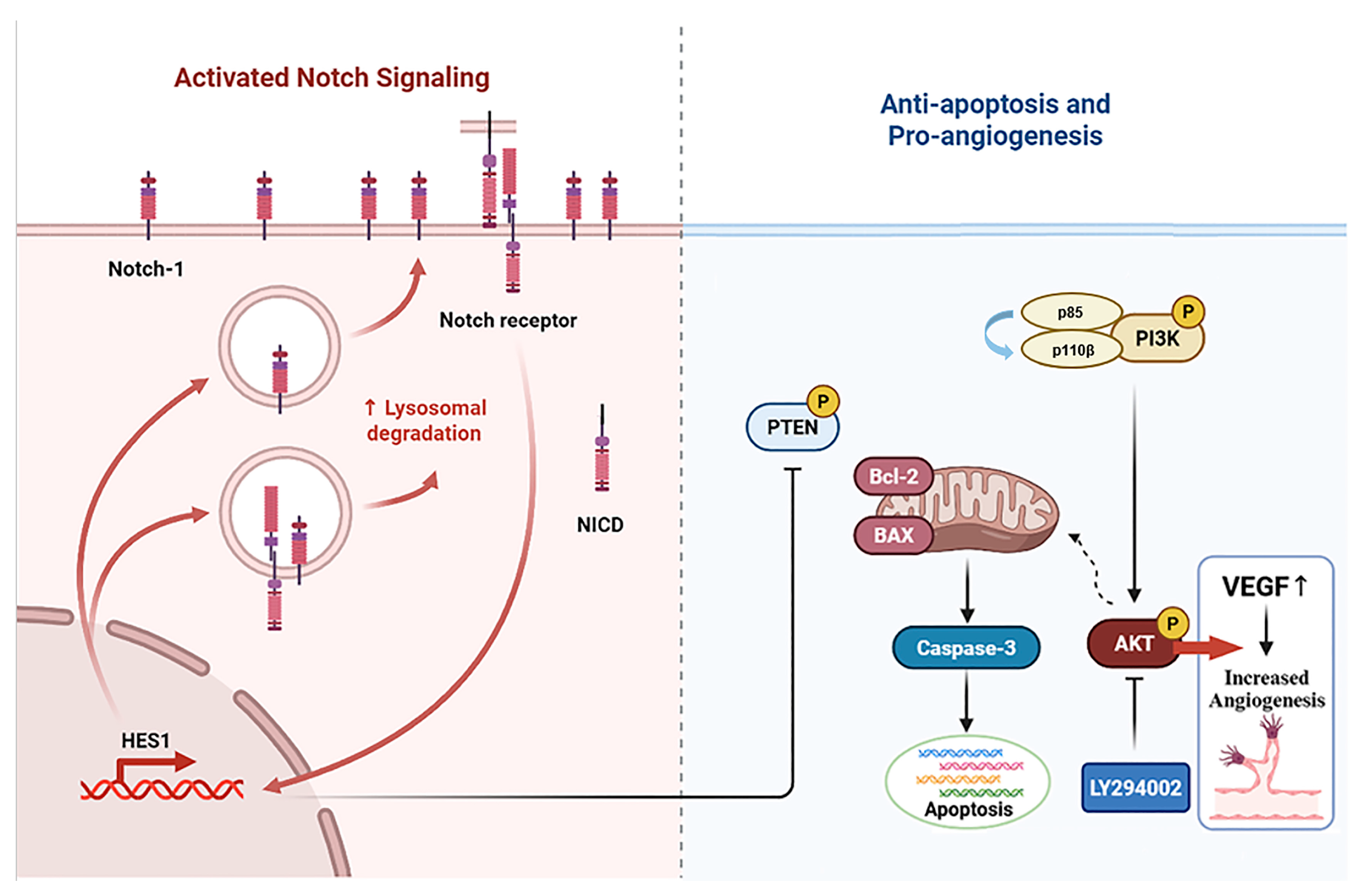Nutrients 17 03428 g015 Nutrients 17 03428 g015