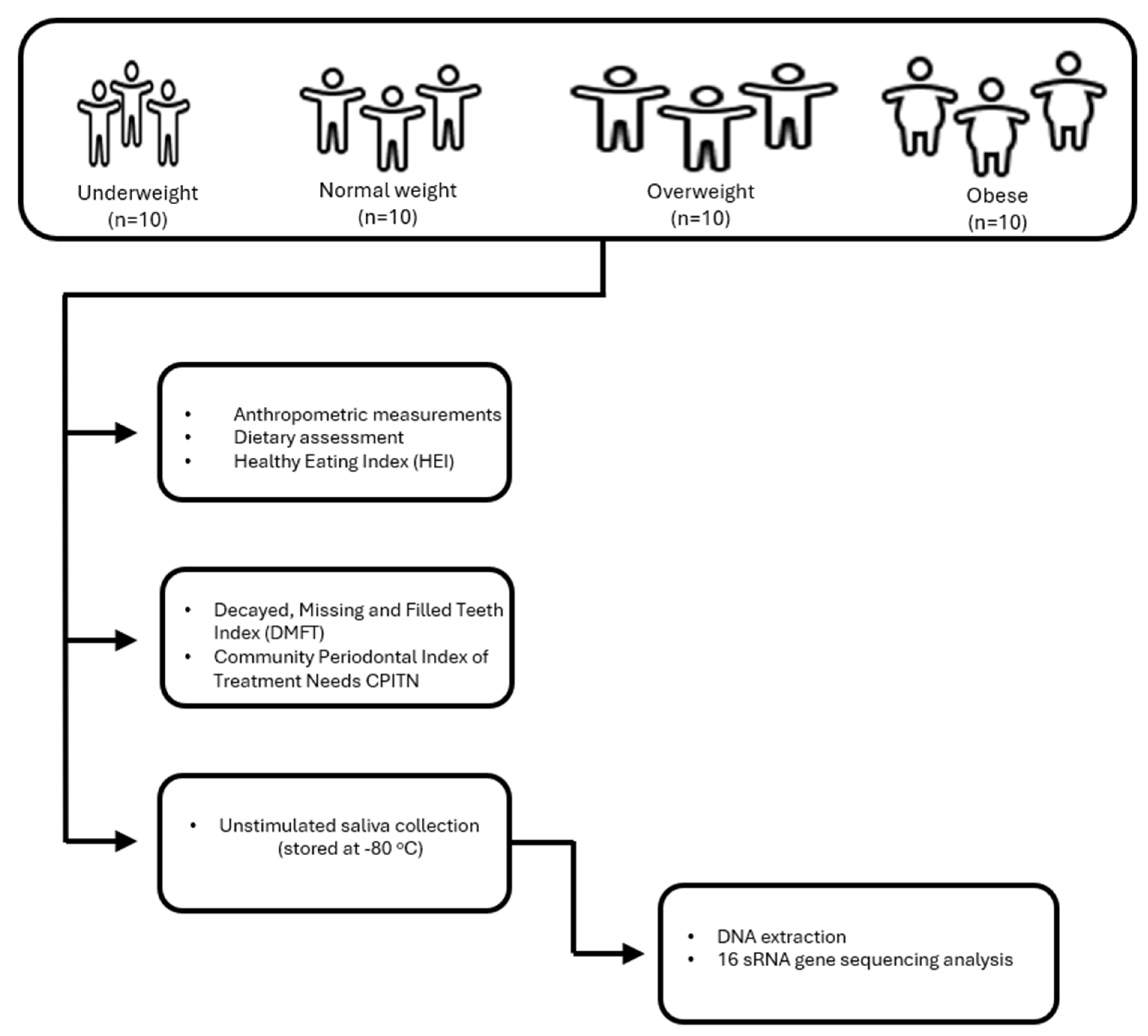 Nutrients 17 03434 g001 Nutrients 17 03434 g001