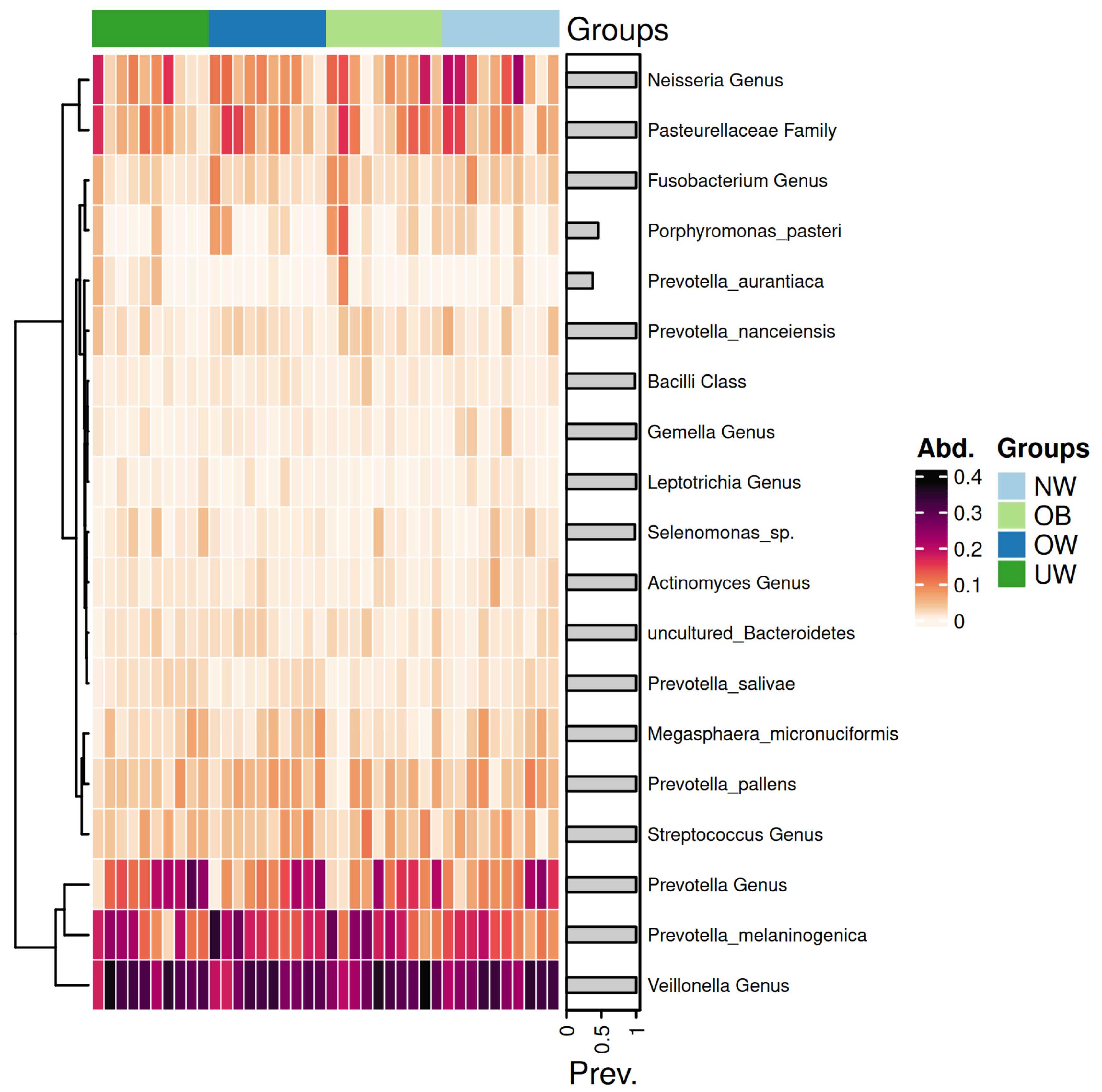 Nutrients 17 03434 g007 Nutrients 17 03434 g007