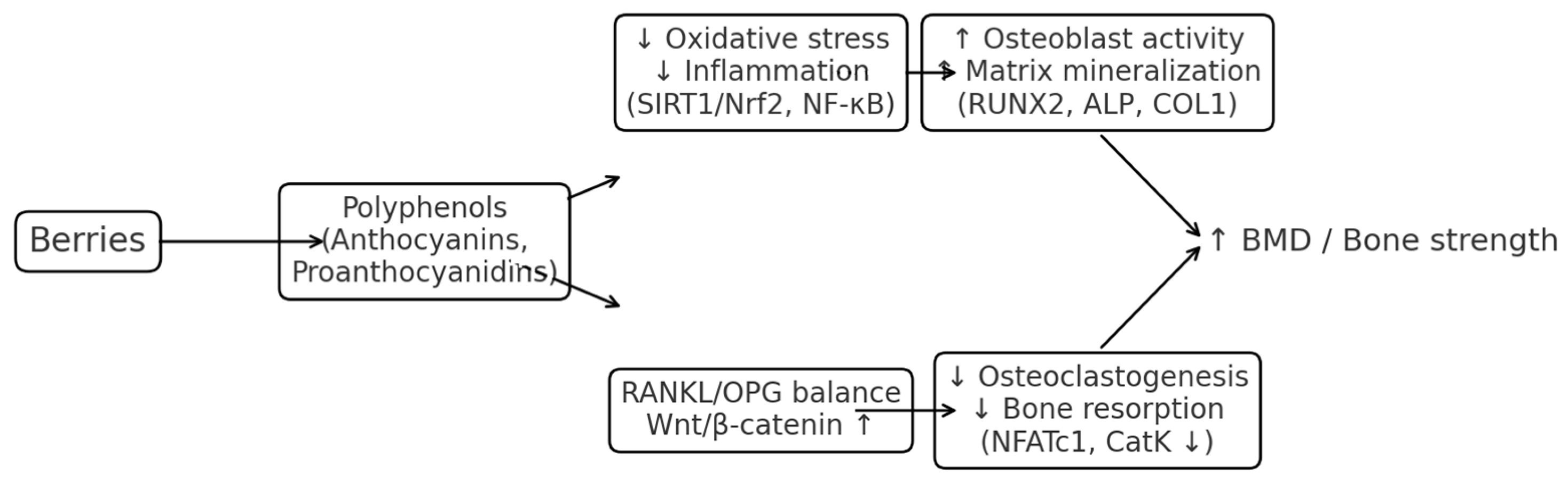 Nutrients 17 03440 g005