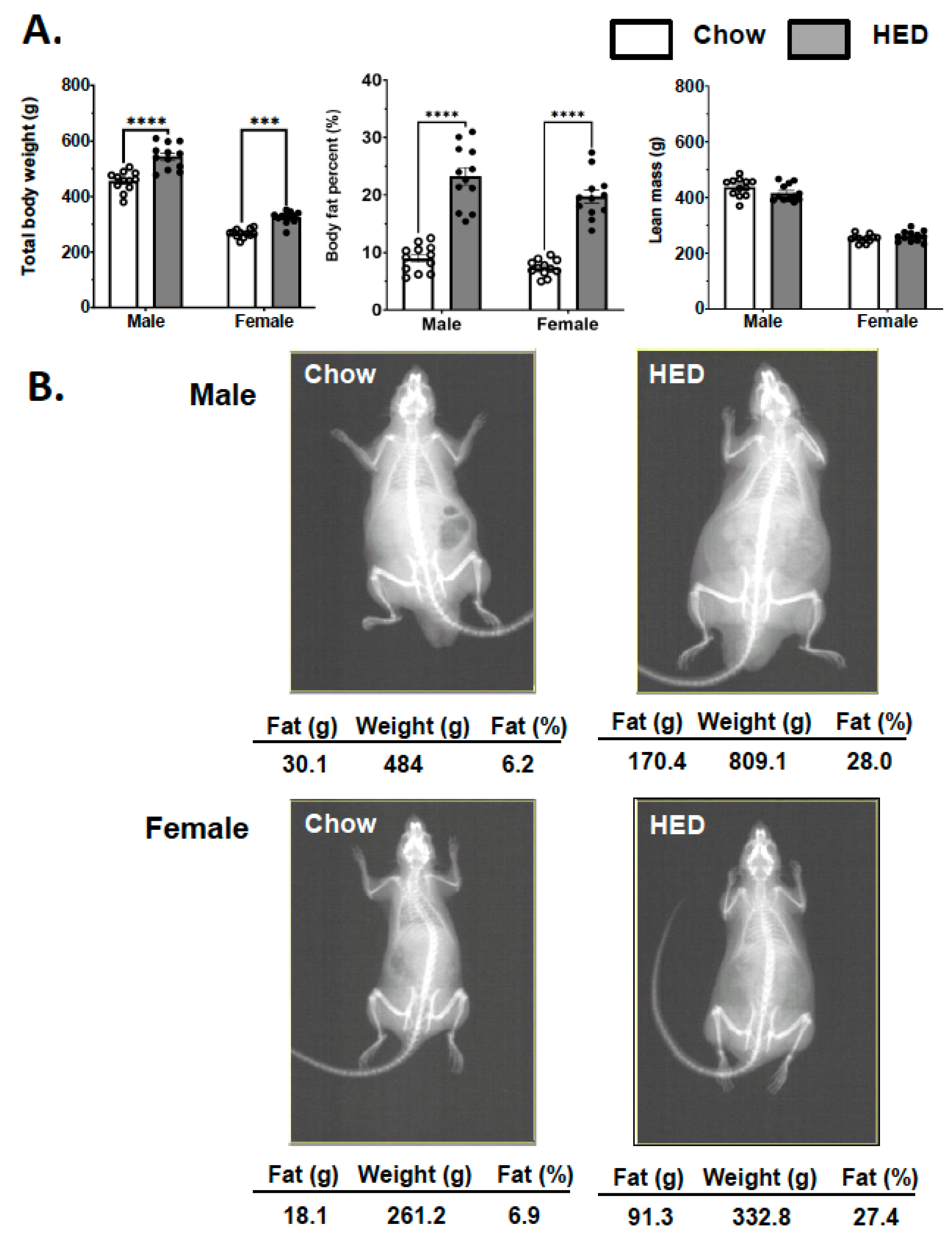 Nutrients 17 03445 g001
