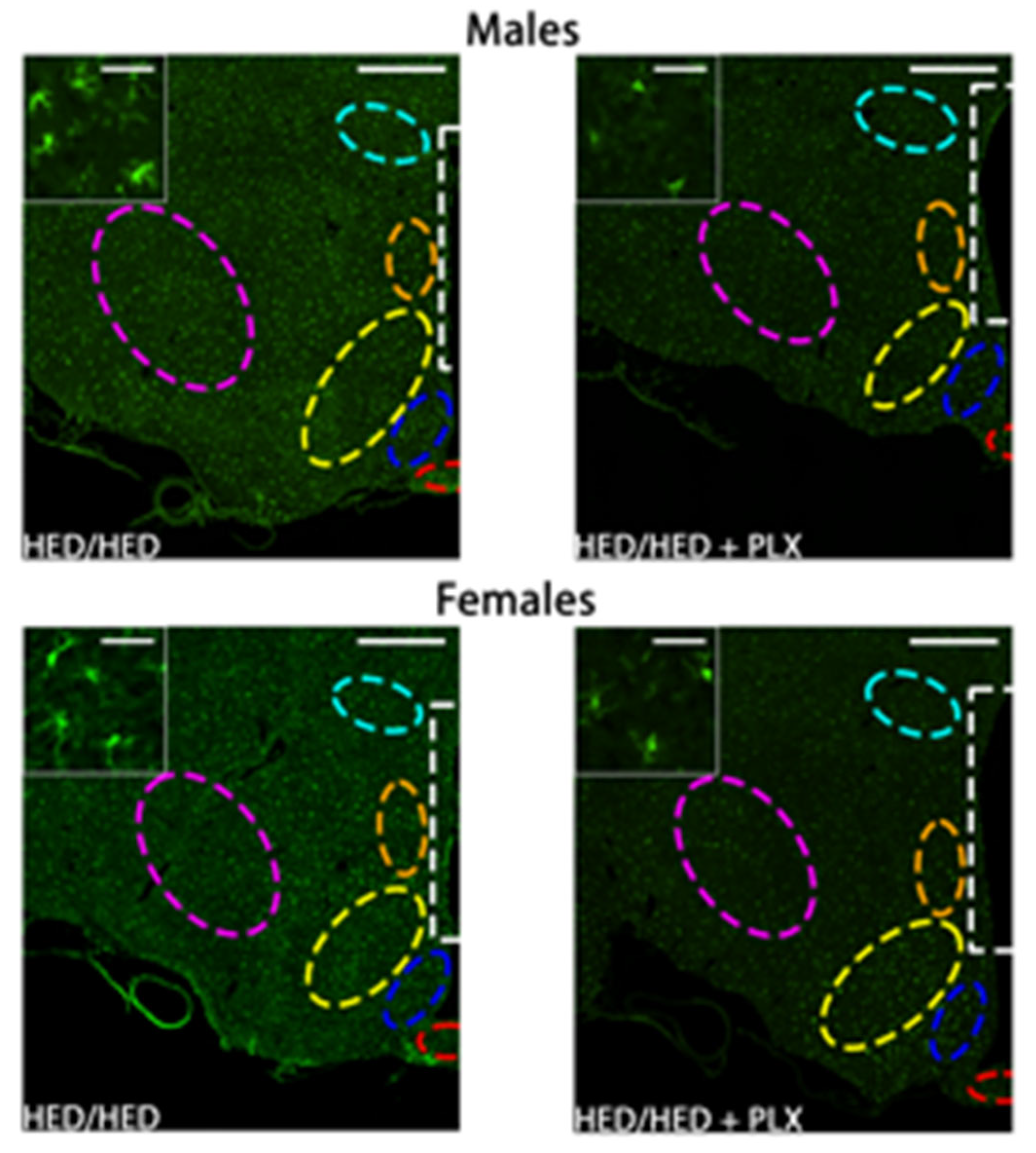 Nutrients 17 03445 g006