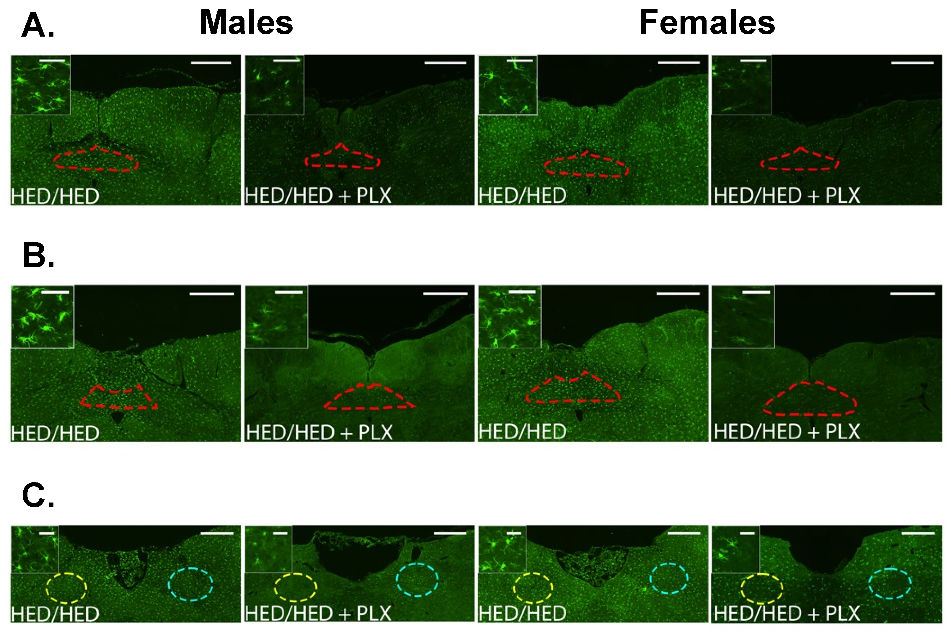 Nutrients 17 03445 g008
