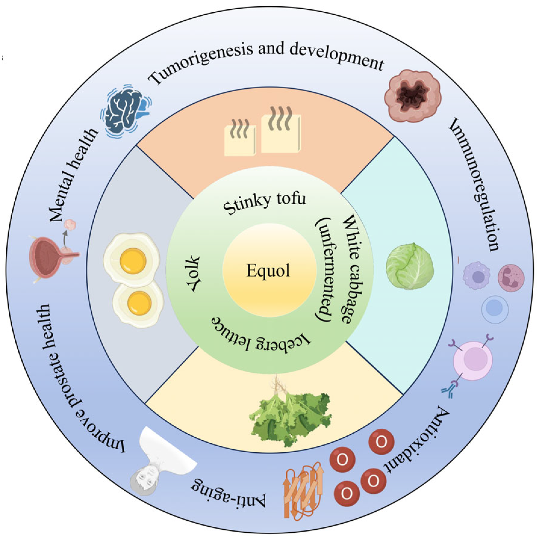 Nutrients 17 03449 g002