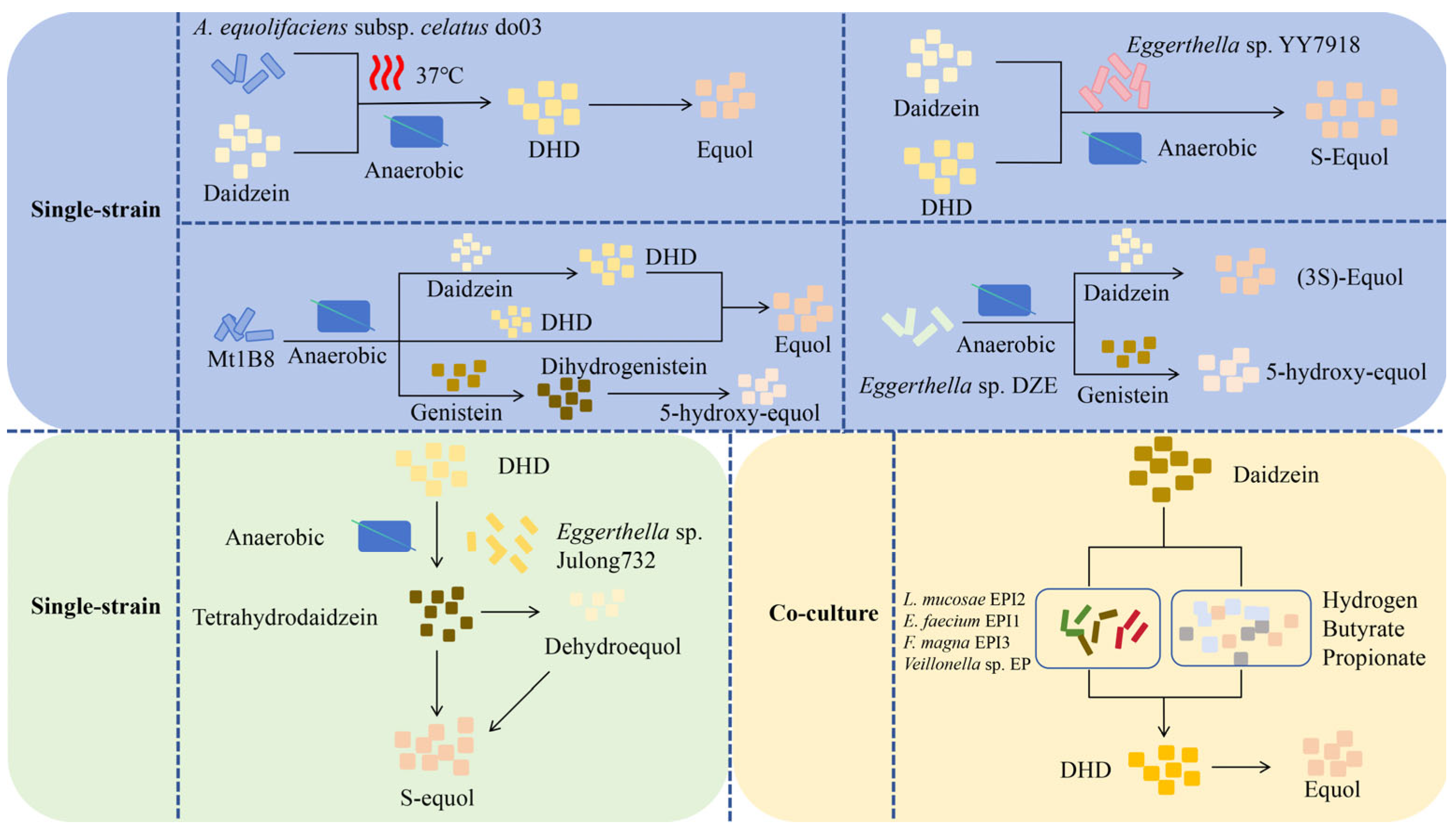Nutrients 17 03449 g003