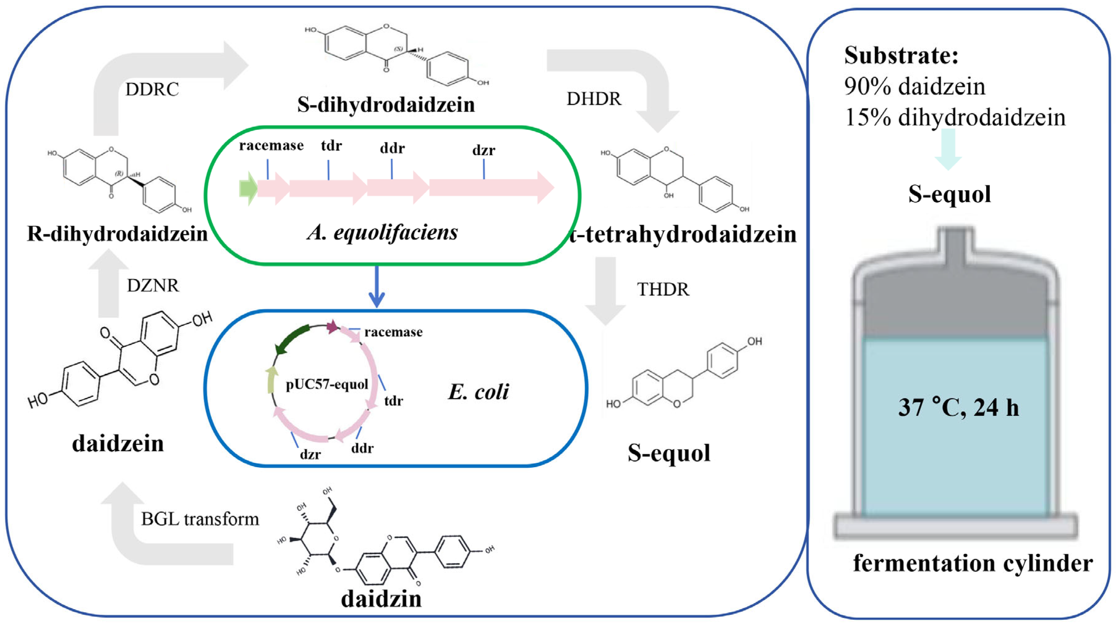 Nutrients 17 03449 g005