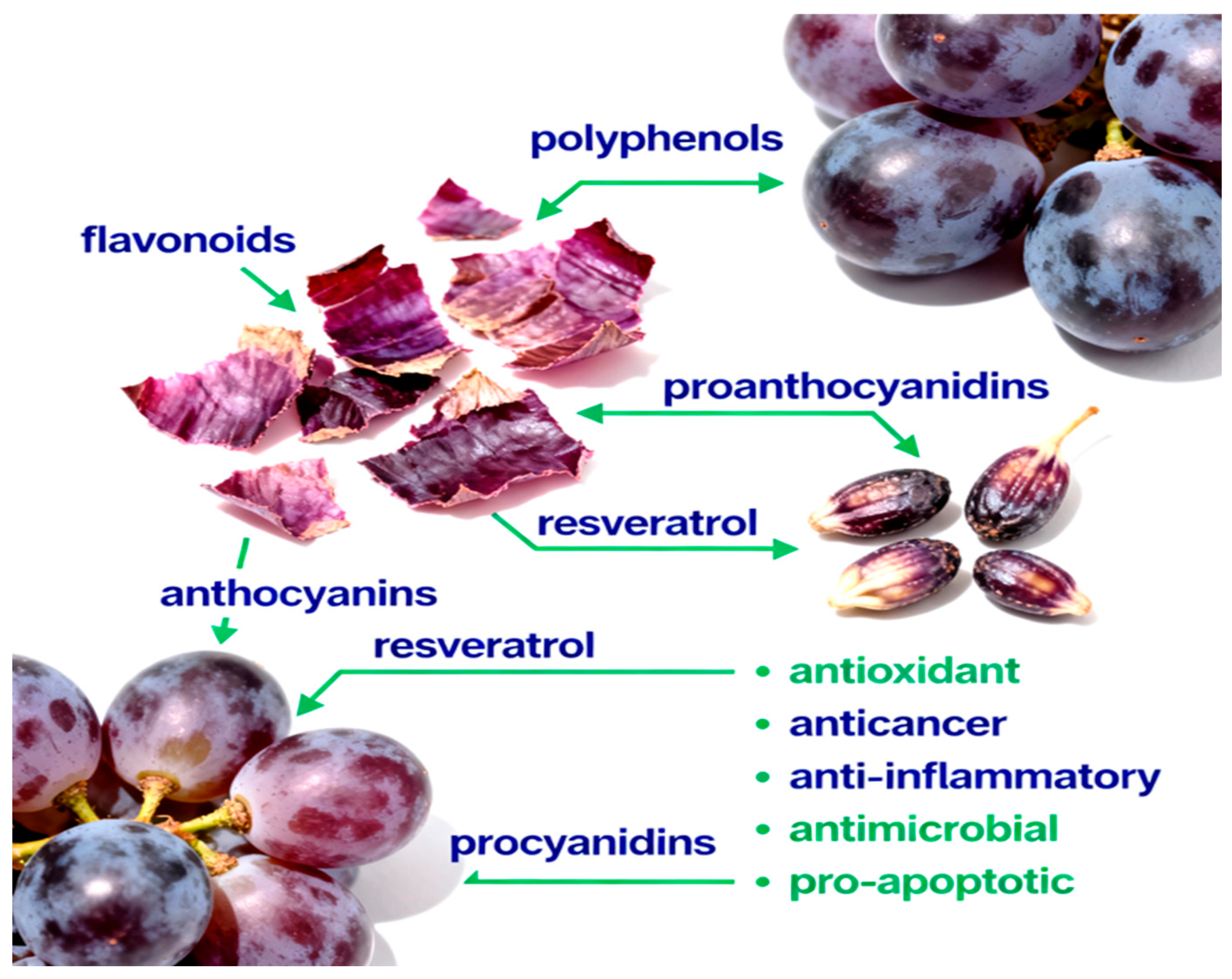 Nutrients 17 03450 g001