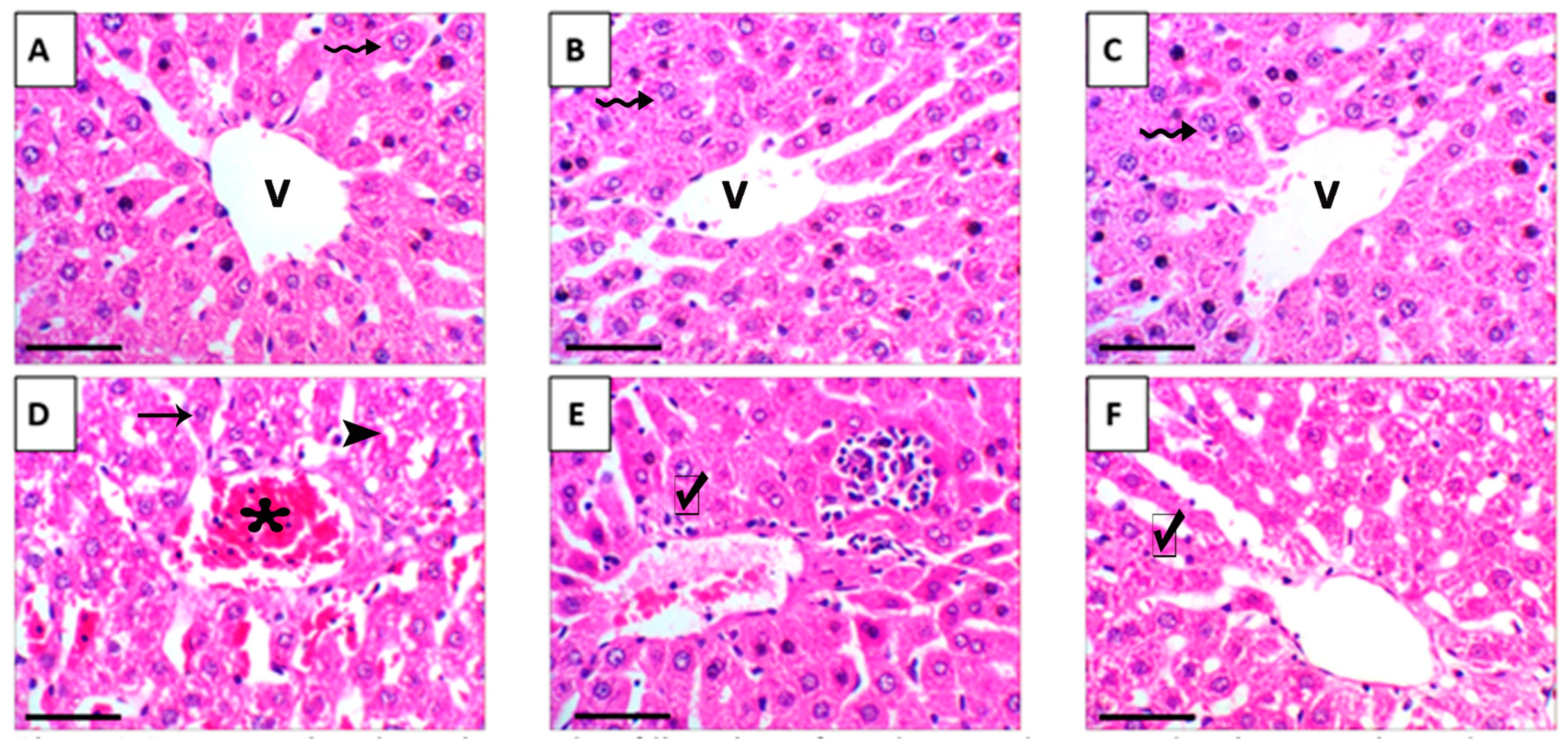 Nutrients 17 03450 g011