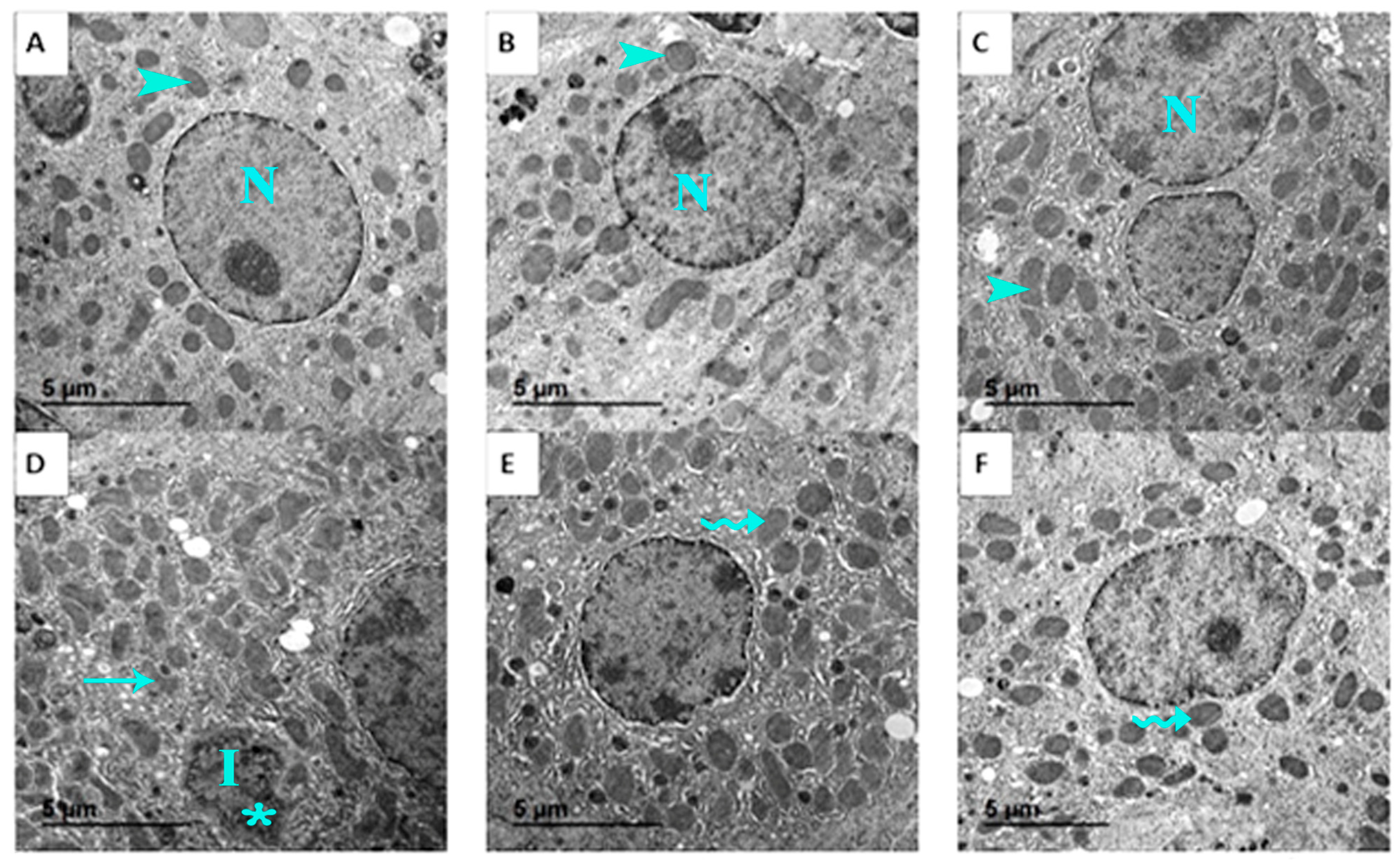 Nutrients 17 03450 g013
