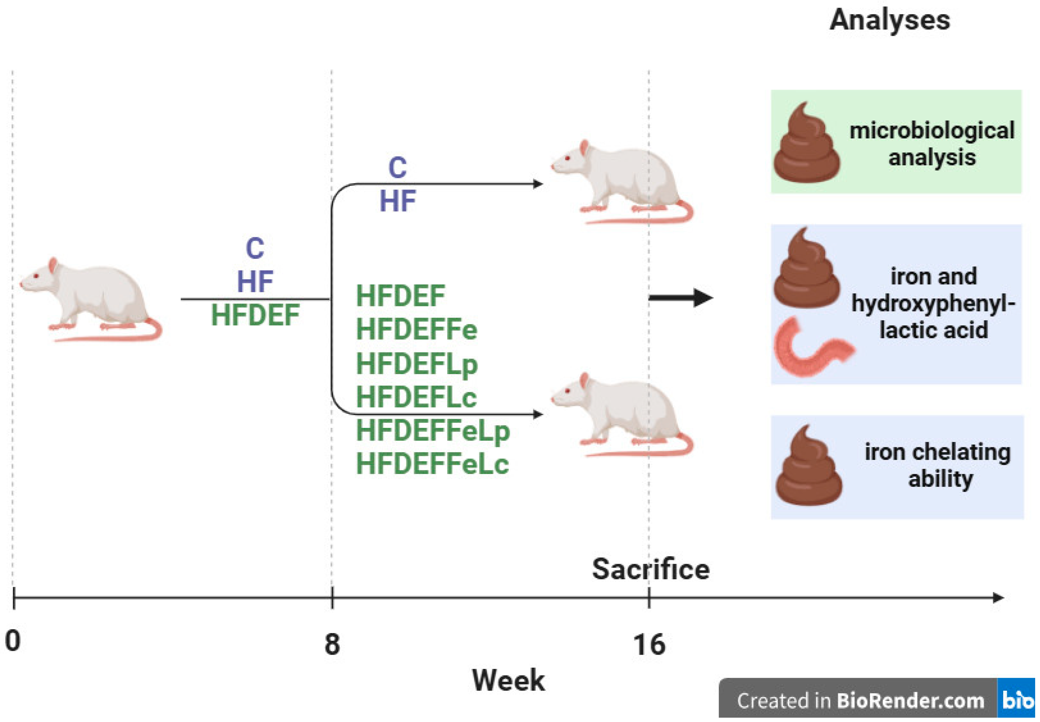 Nutrients 17 03454 g003 Nutrients 17 03454 g003