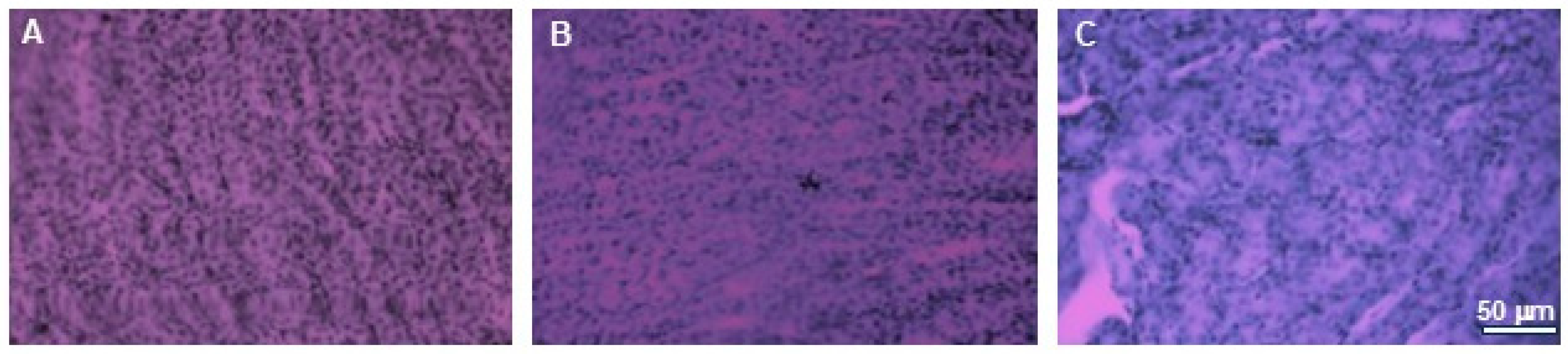 Nutrients 17 03456 g010