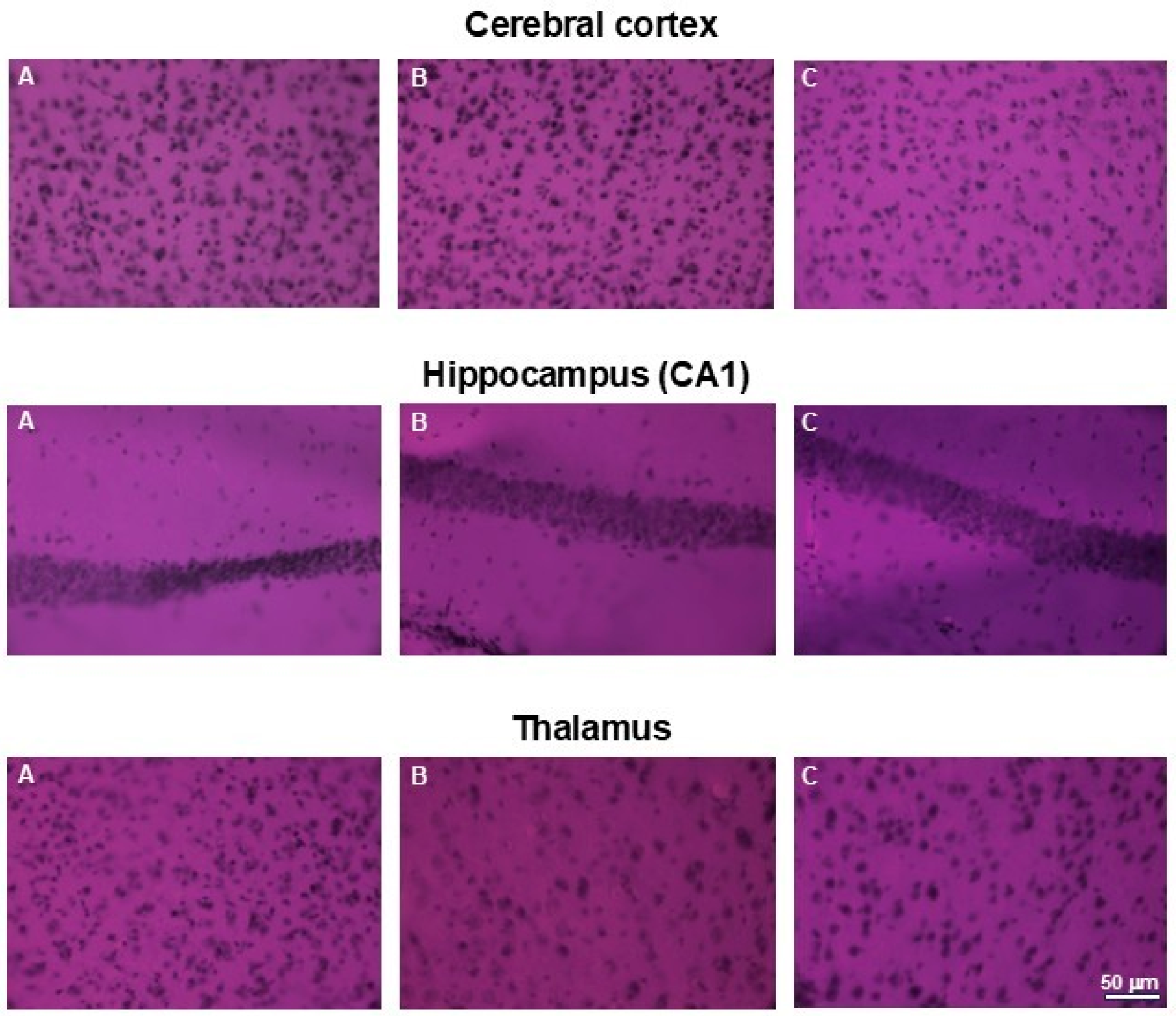 Nutrients 17 03456 g011