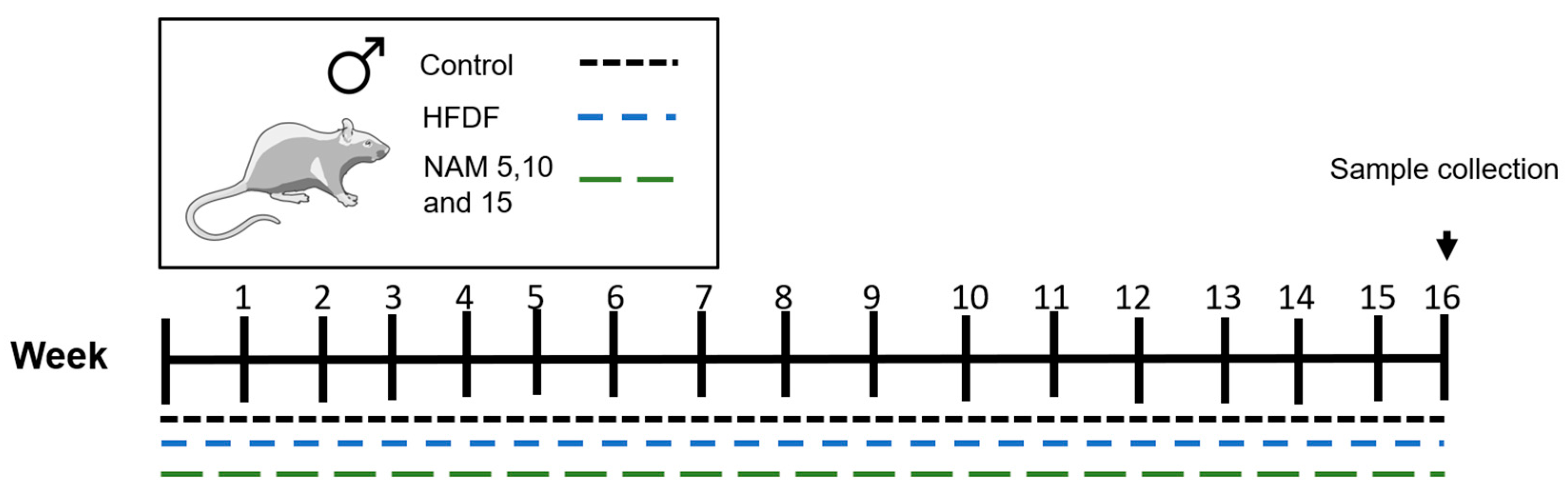 Nutrients 17 03458 g001 Nutrients 17 03458 g001