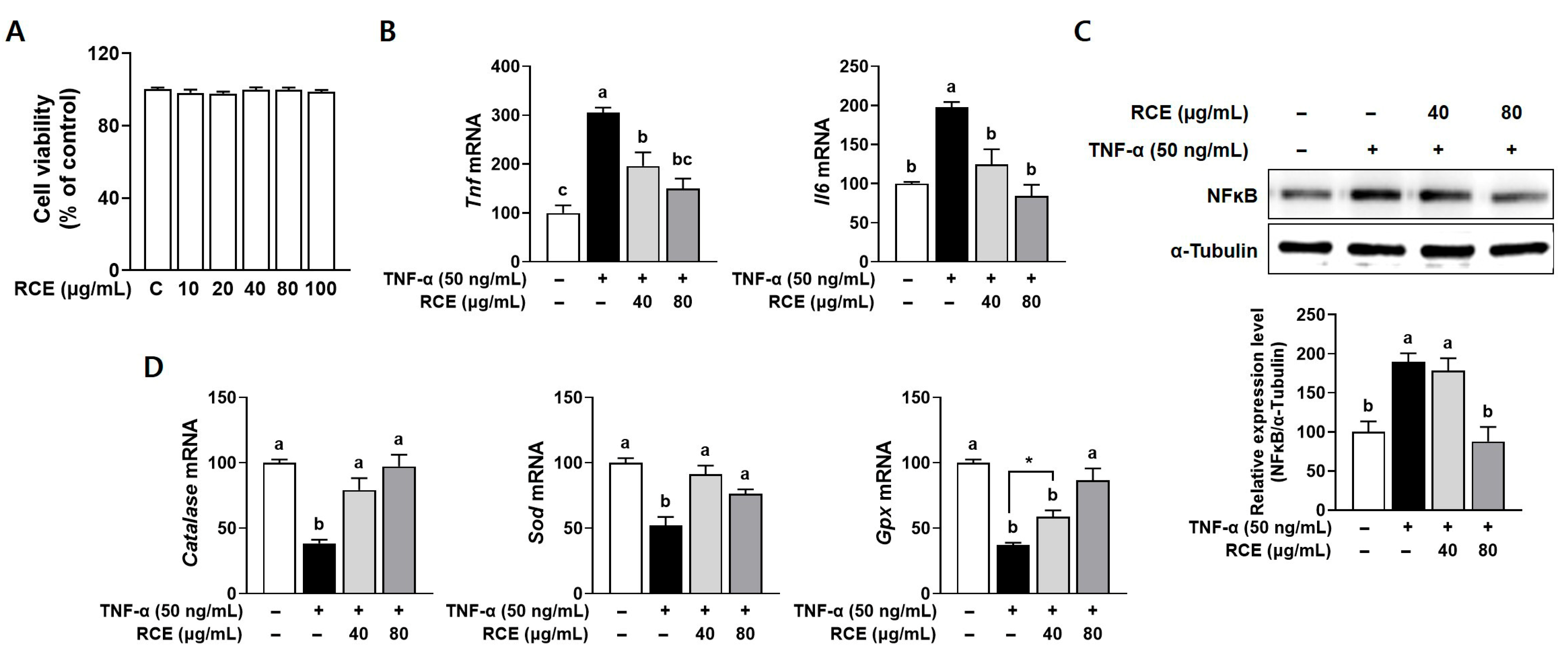 Nutrients 17 03462 g001 Nutrients 17 03462 g001