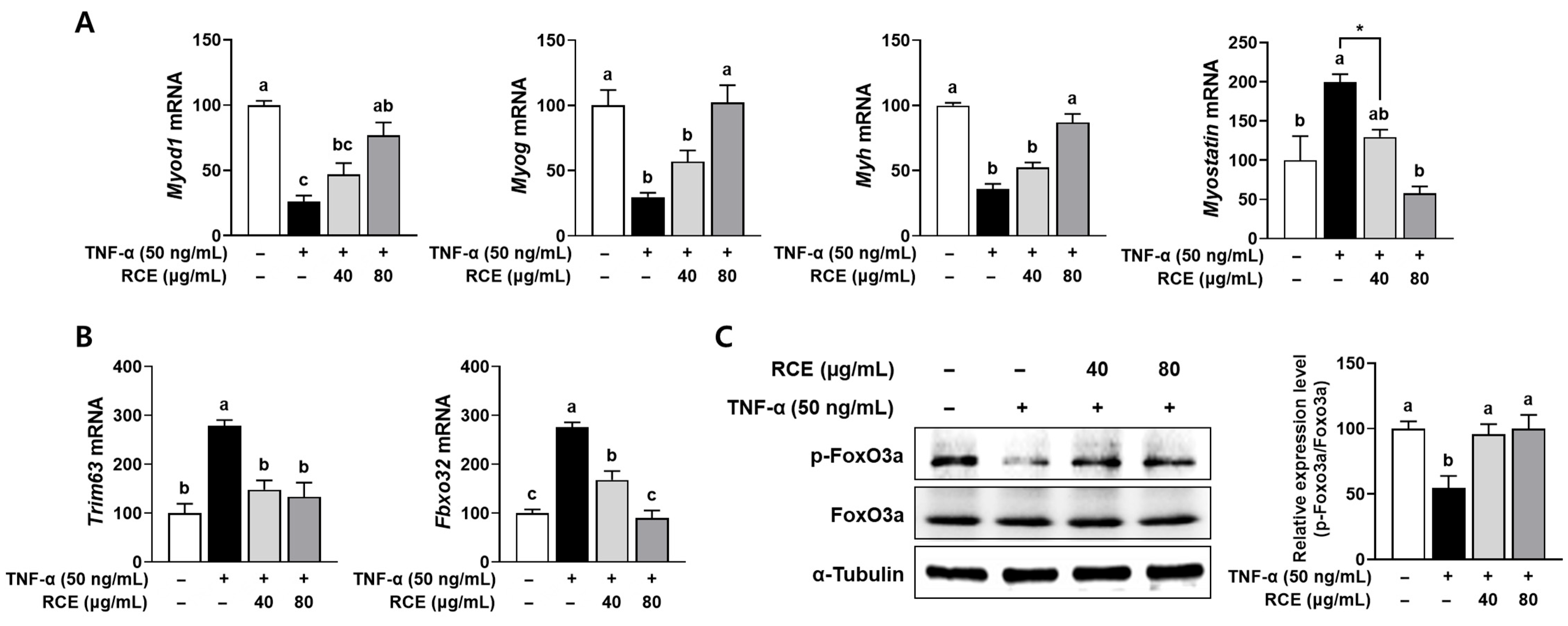 Nutrients 17 03462 g002 Nutrients 17 03462 g002