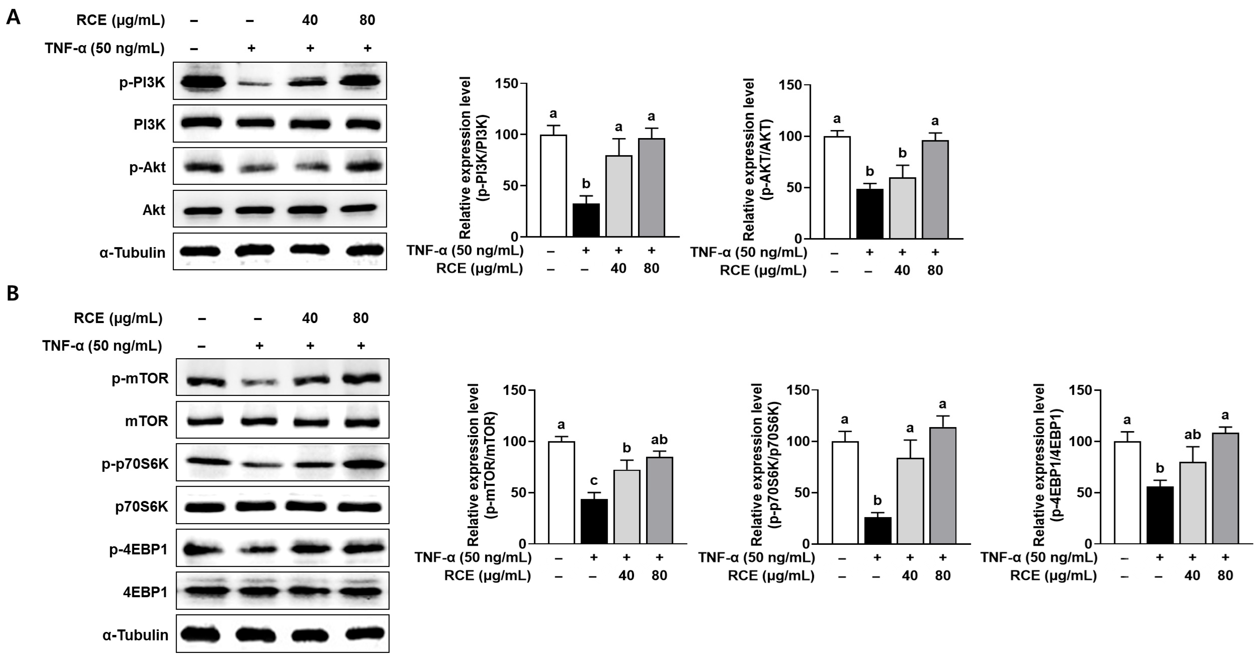 Nutrients 17 03462 g003 Nutrients 17 03462 g003