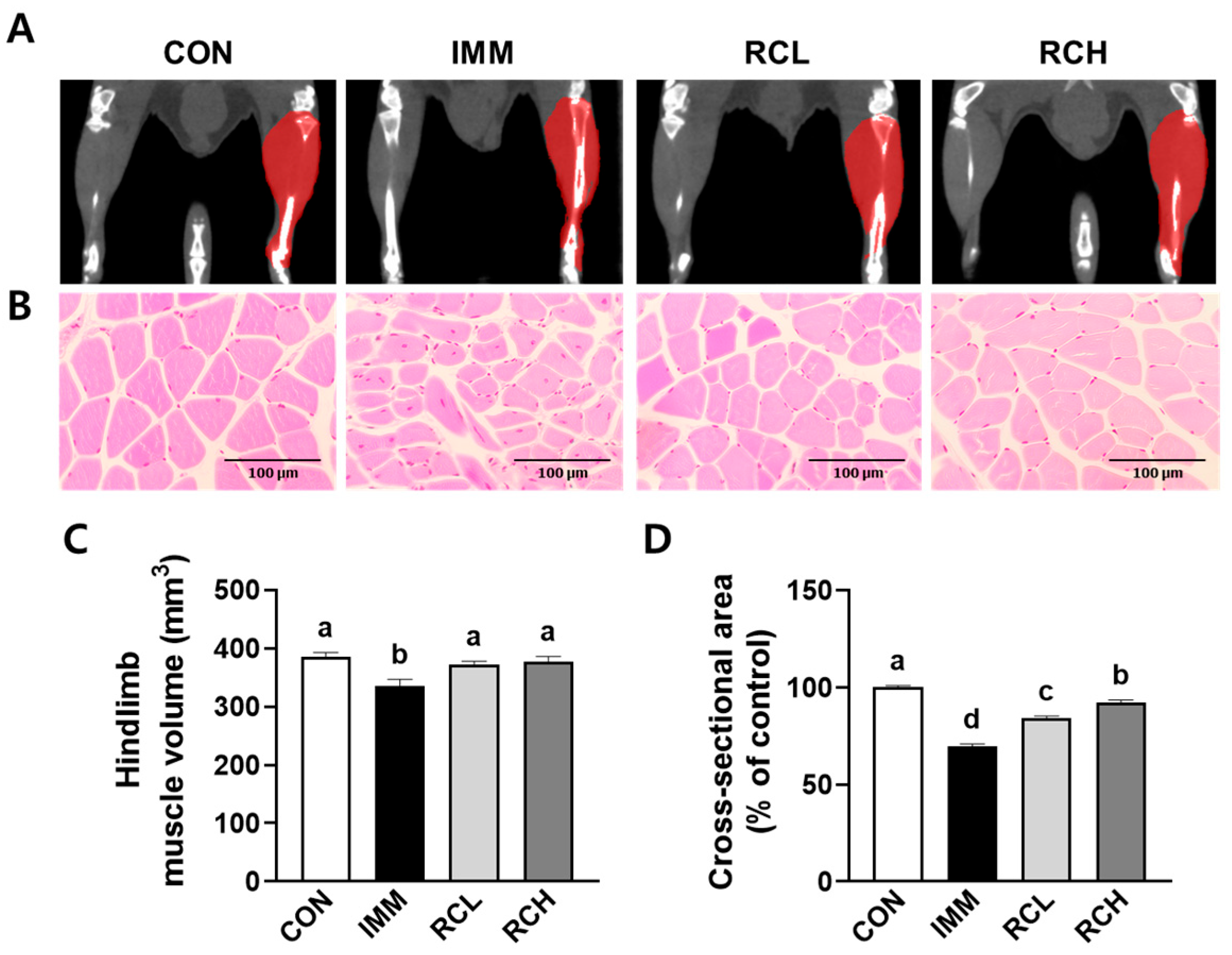 Nutrients 17 03462 g005 Nutrients 17 03462 g005