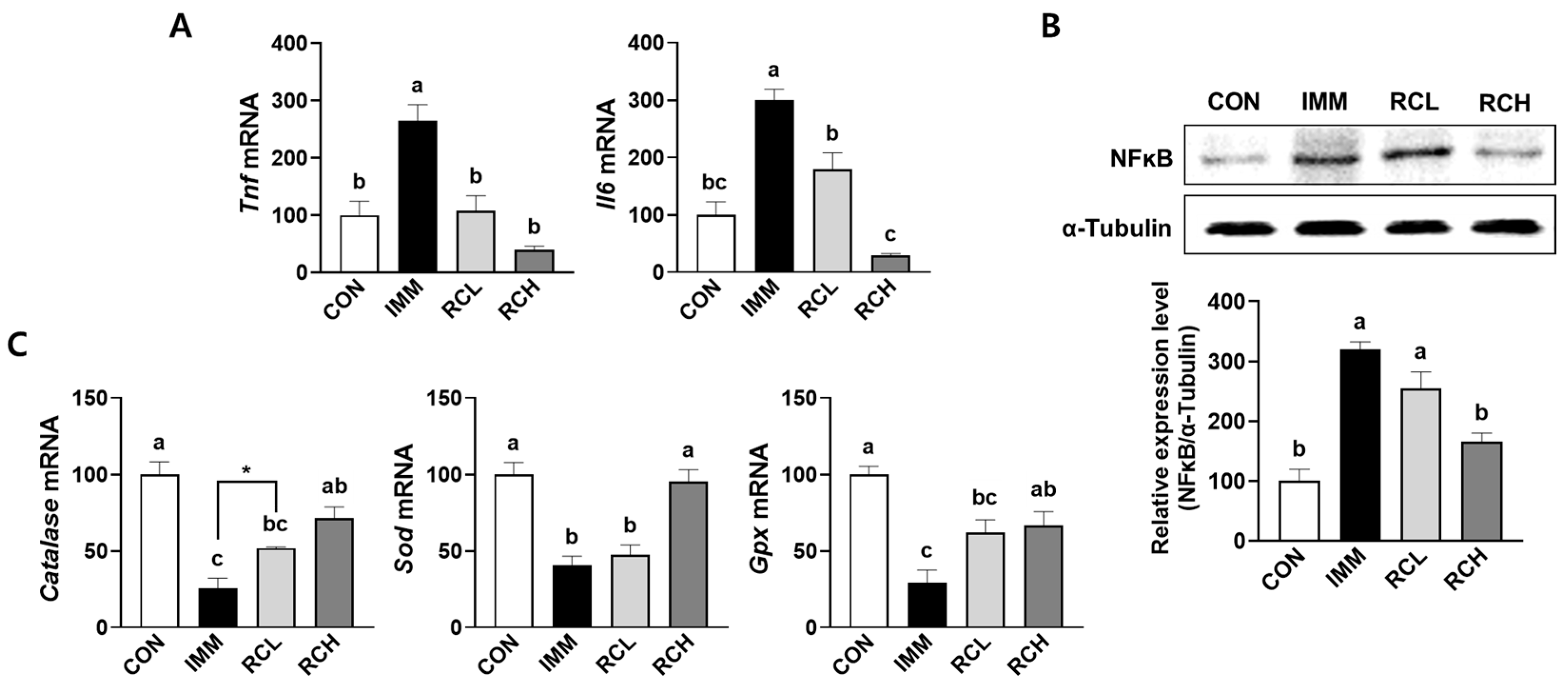 Nutrients 17 03462 g006 Nutrients 17 03462 g006