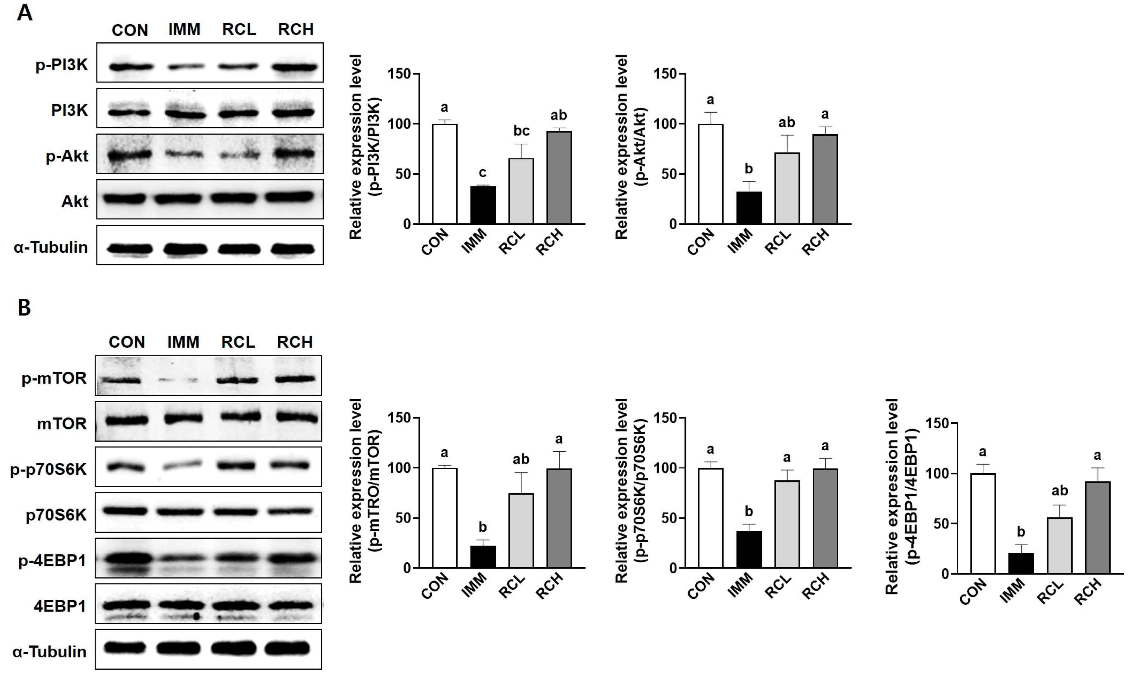 Nutrients 17 03462 g008 Nutrients 17 03462 g008
