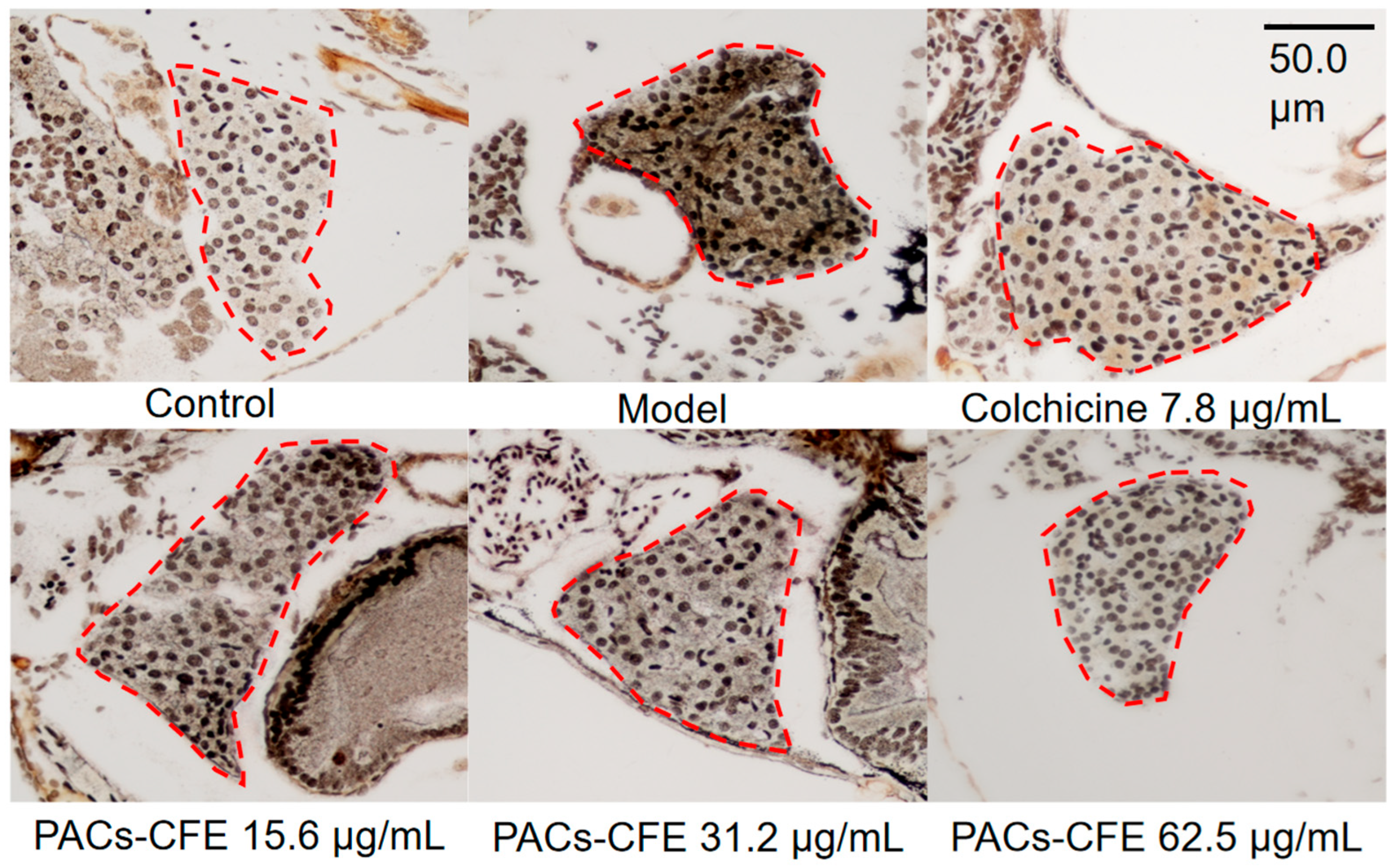 Nutrients 17 03463 g002