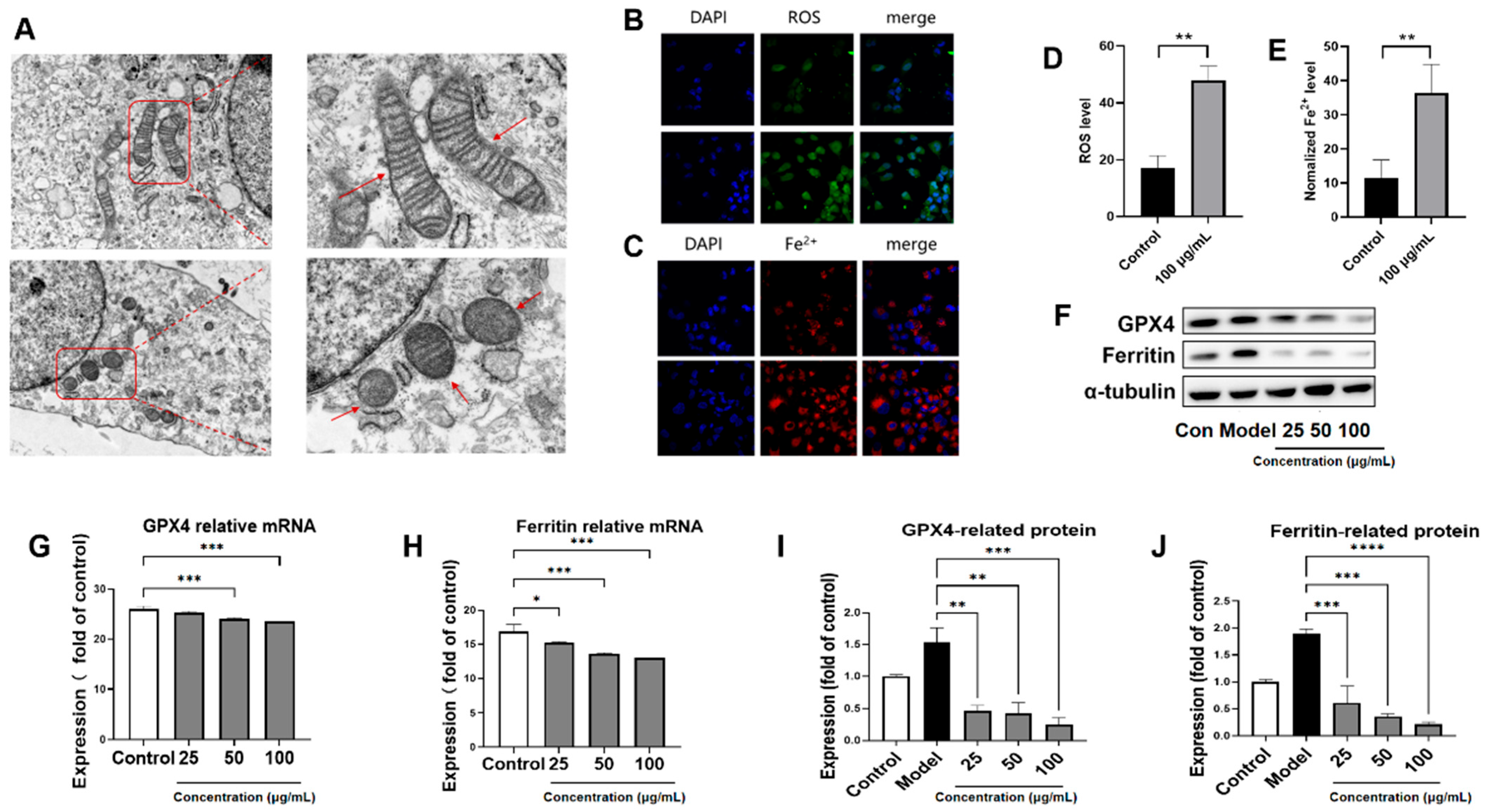 Nutrients 17 03463 g004