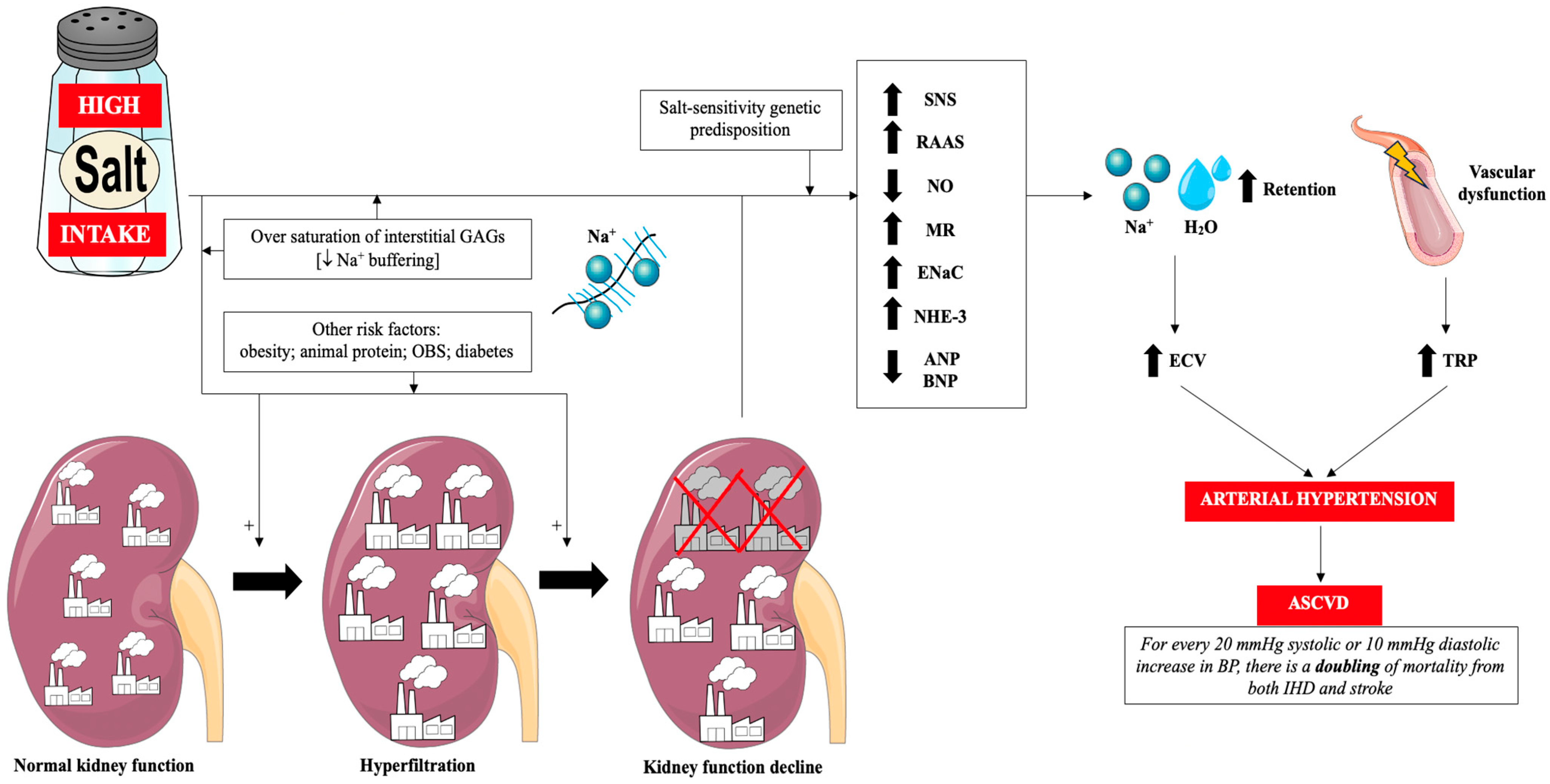 Nutrients 17 03464 g001