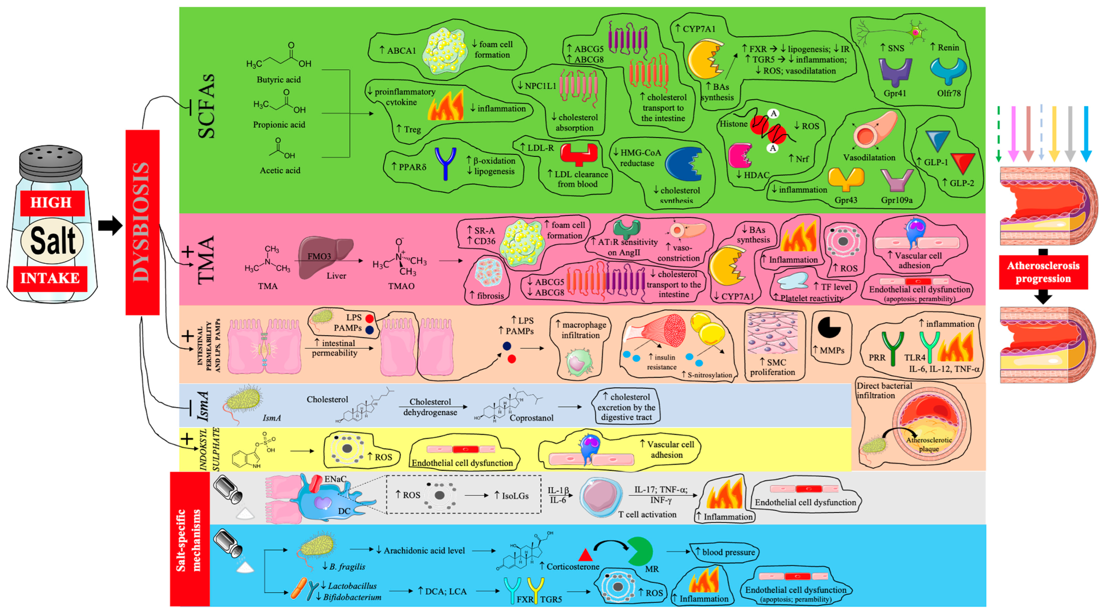 Nutrients 17 03464 g003